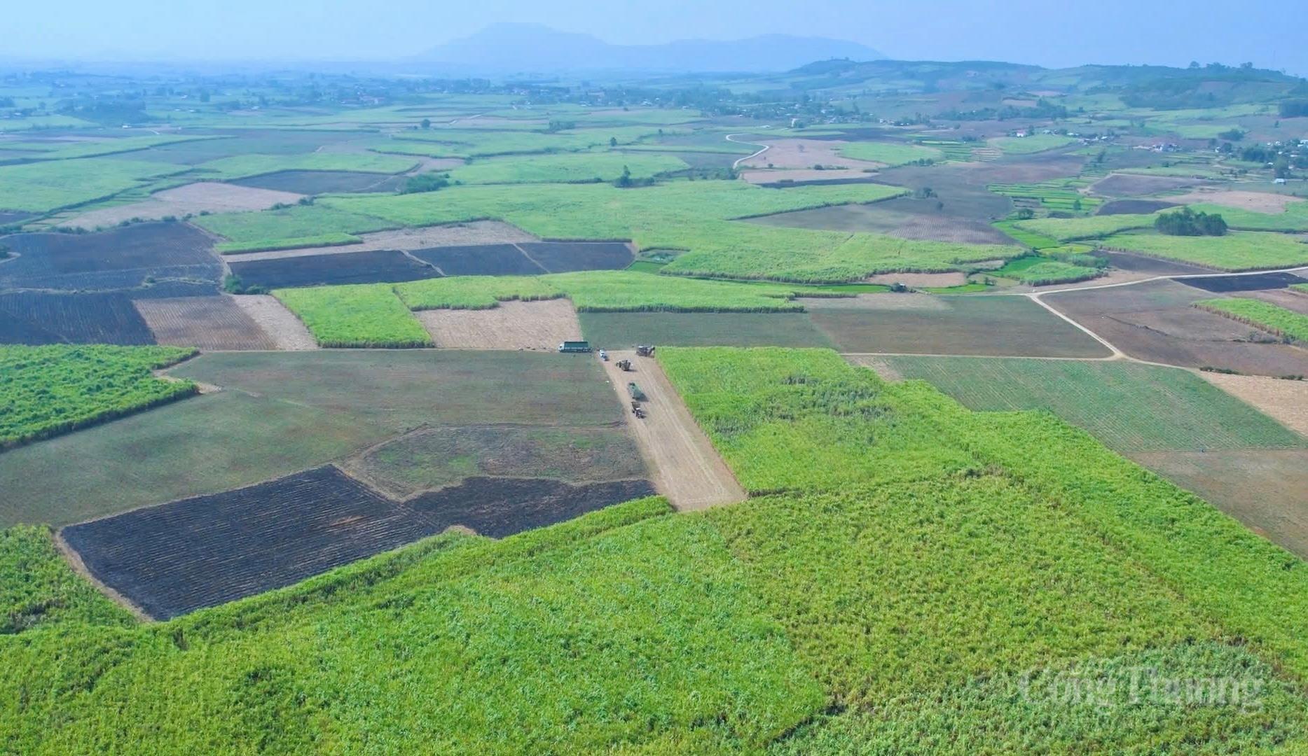 Toàn cảnh cụm sản xuất mía - đường - điện lớn nhất cả nước - 20