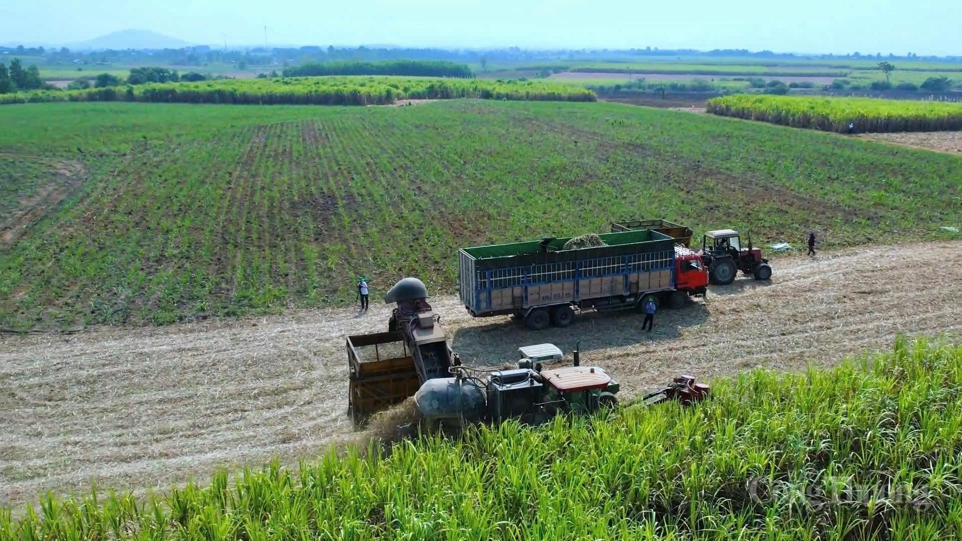 Toàn cảnh cụm sản xuất mía - đường - điện lớn nhất cả nước - 18