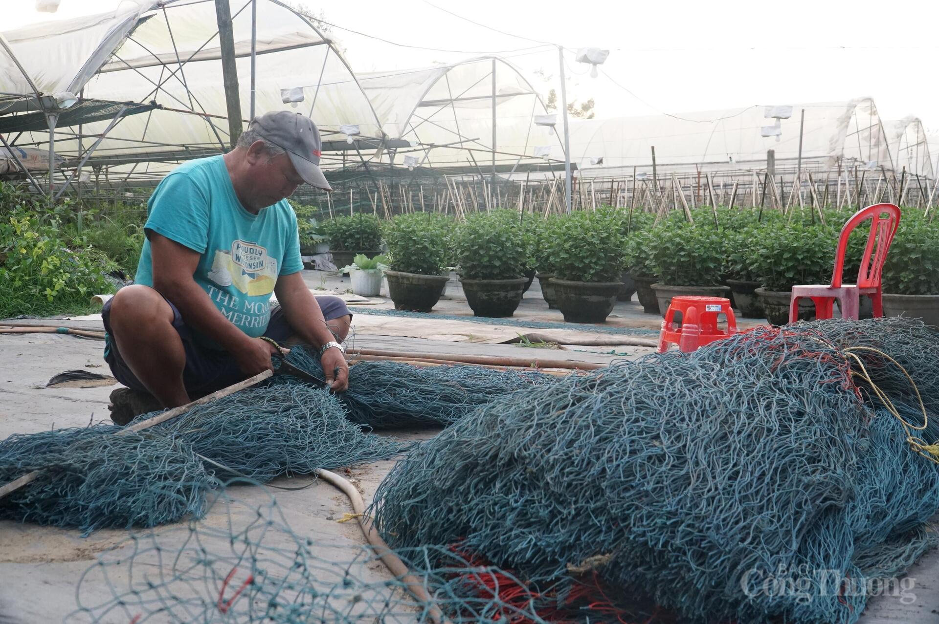 Đà Nẵng: Làng hoa Dương Sơn vào vụ Tết - 12