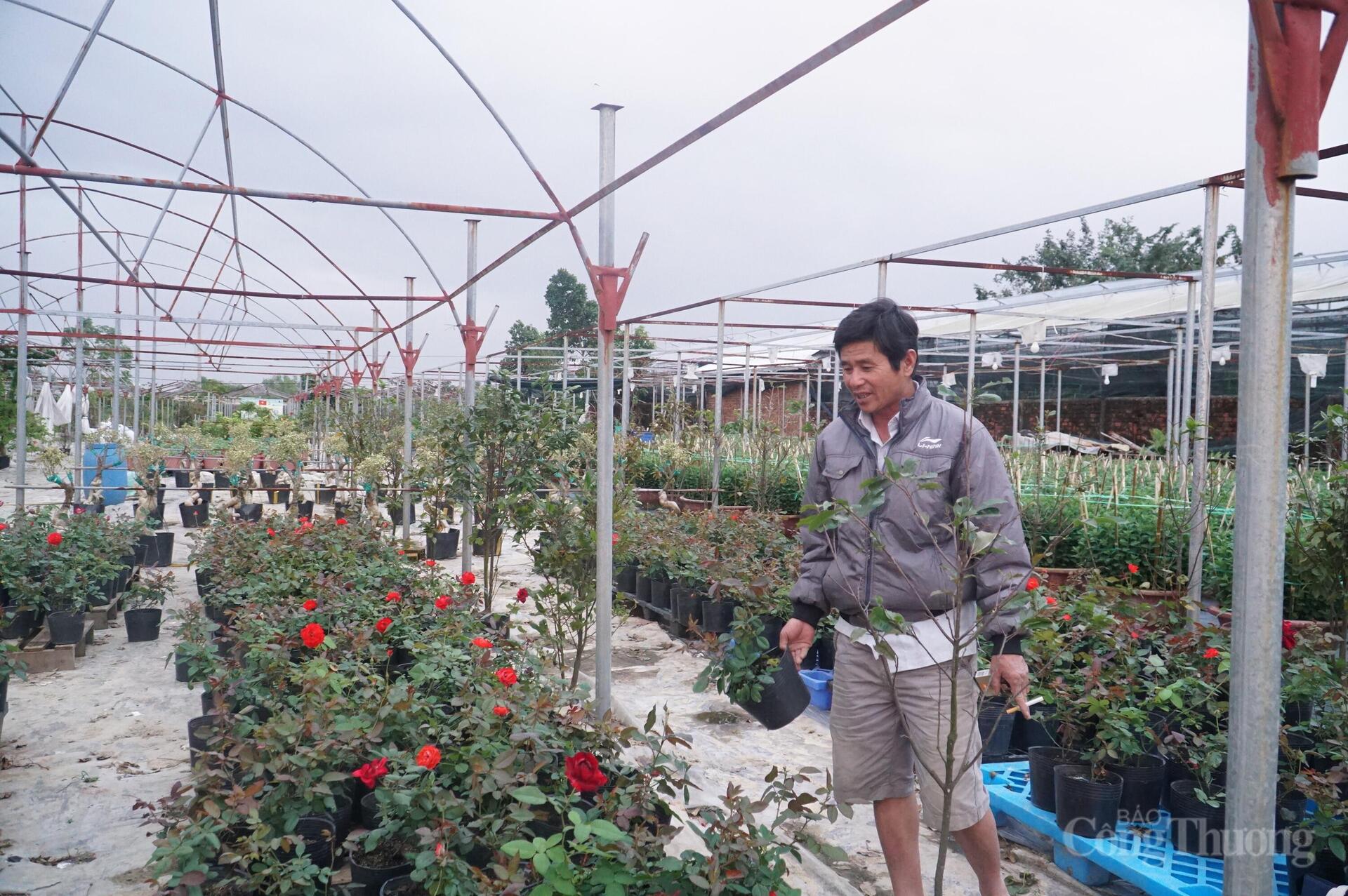 Đà Nẵng: Làng hoa Dương Sơn vào vụ Tết - 6