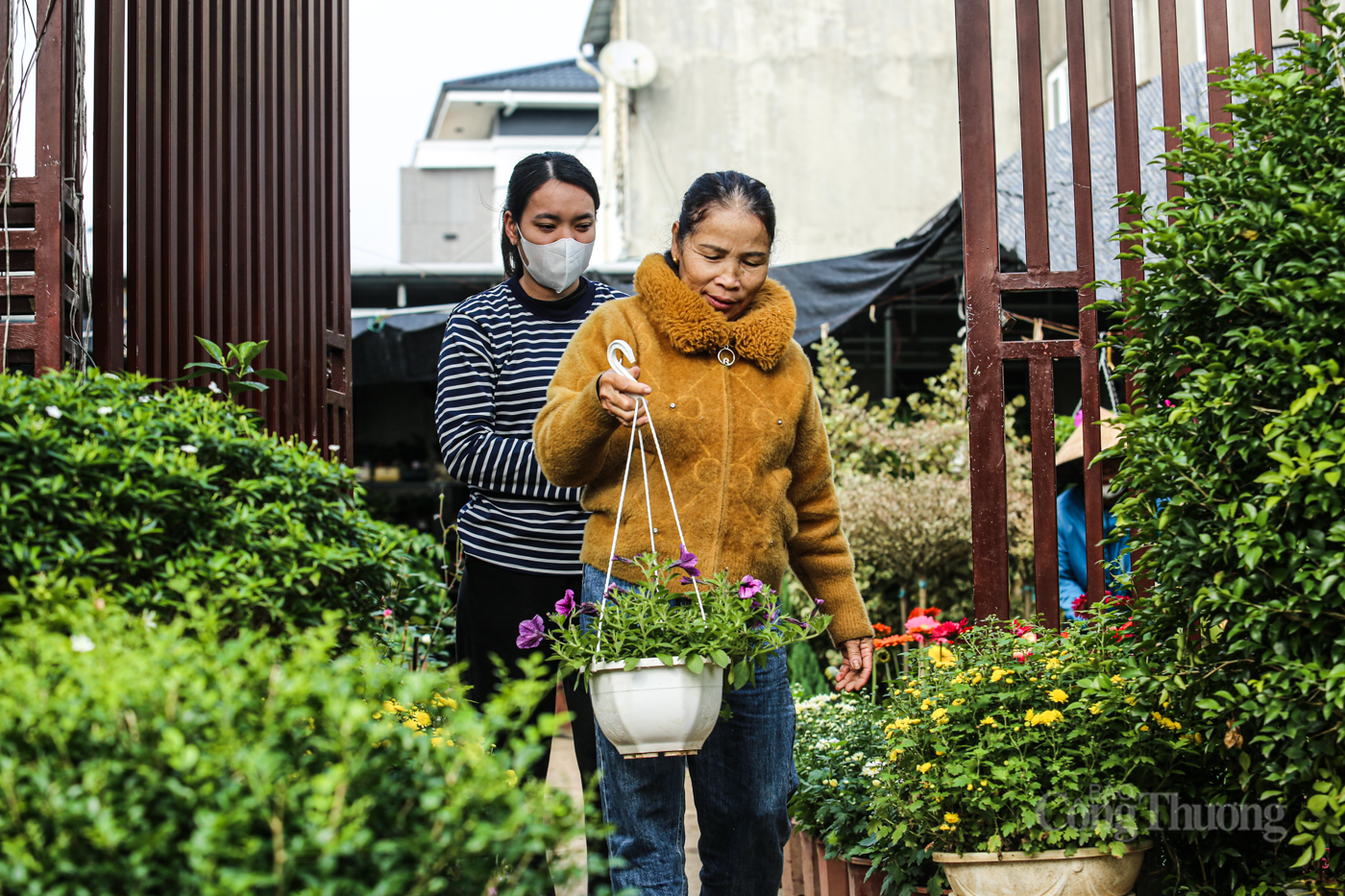 Nhộn nhịp thị trường cây cảnh ở Hà Tĩnh dịp cuối năm - 4