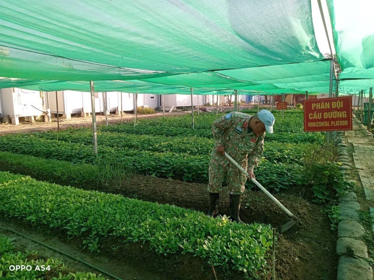 Người lính Công binh: Viết tiếp câu chuyện hòa bình tại vùng Abyei - 4