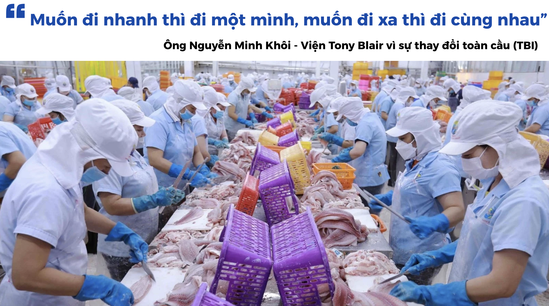Phối hợp, liên kết để tiến xa hơn trong thực thi FTA - 12