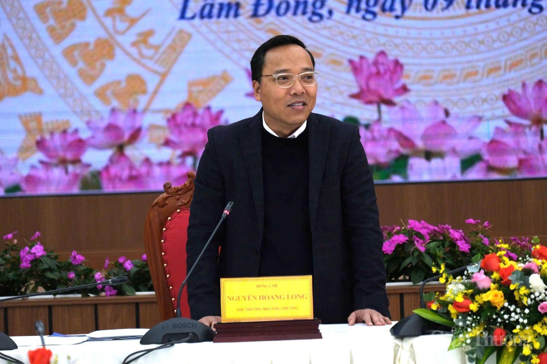 Thứ trưởng Bộ Công Thương Nguyễn Hoàng Long phát biểu tại buổi làm việc. Ảnh: Lê Sơn