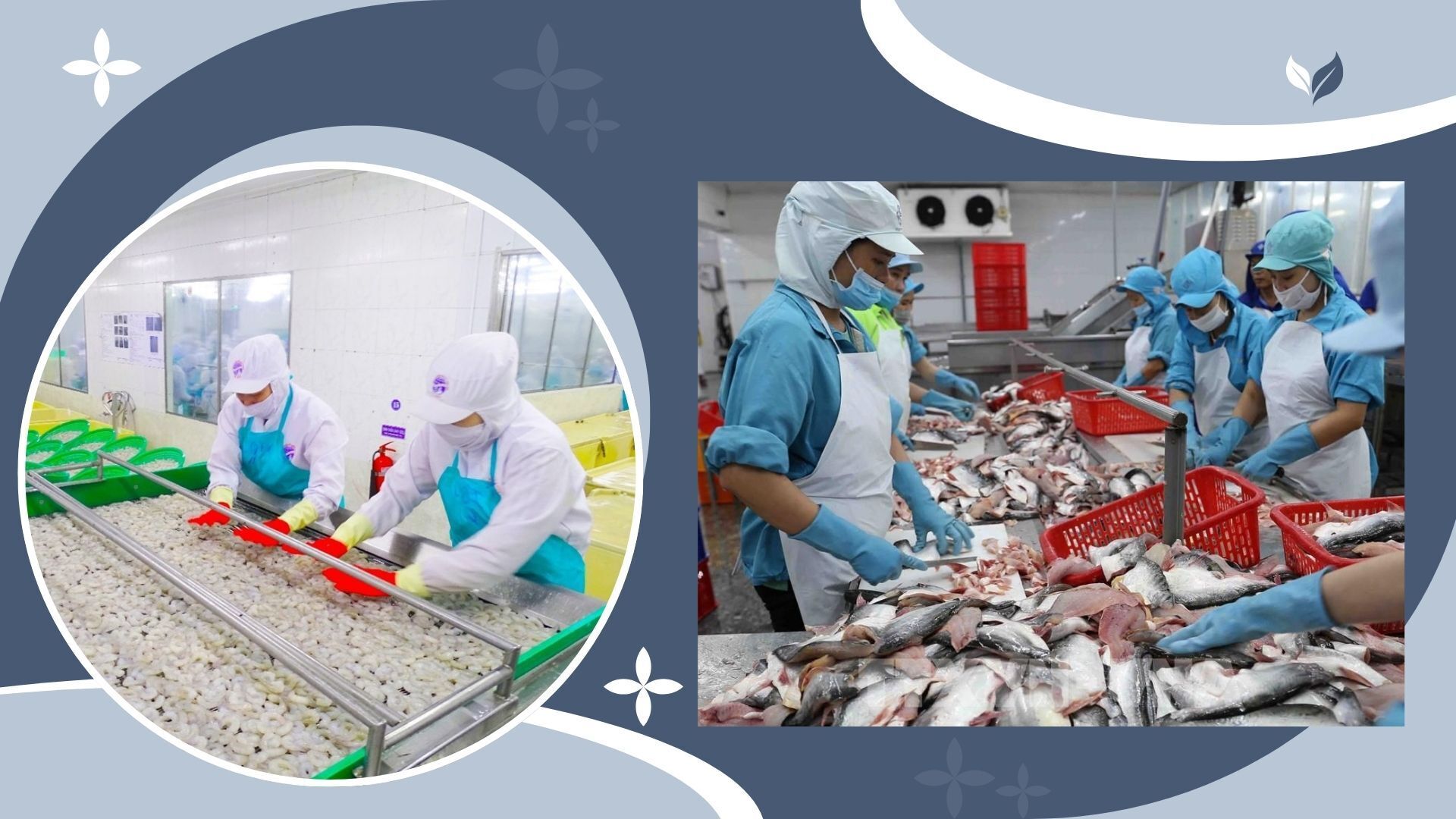 Longform | Hé lộ ‘bất ngờ’ trong quá trình khảo sát FTA Index 2024 - 3