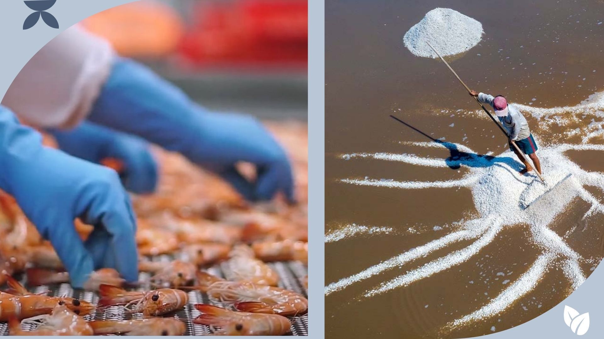 Longform | Hé lộ ‘bất ngờ’ trong quá trình khảo sát FTA Index 2024 - 4