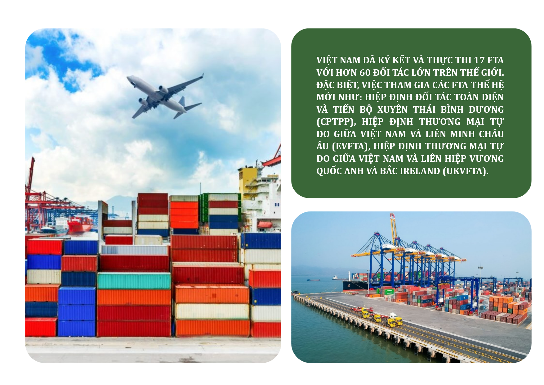 Địa phương: "Người mở đường" giúp doanh nghiệp thực thi FTA - 2