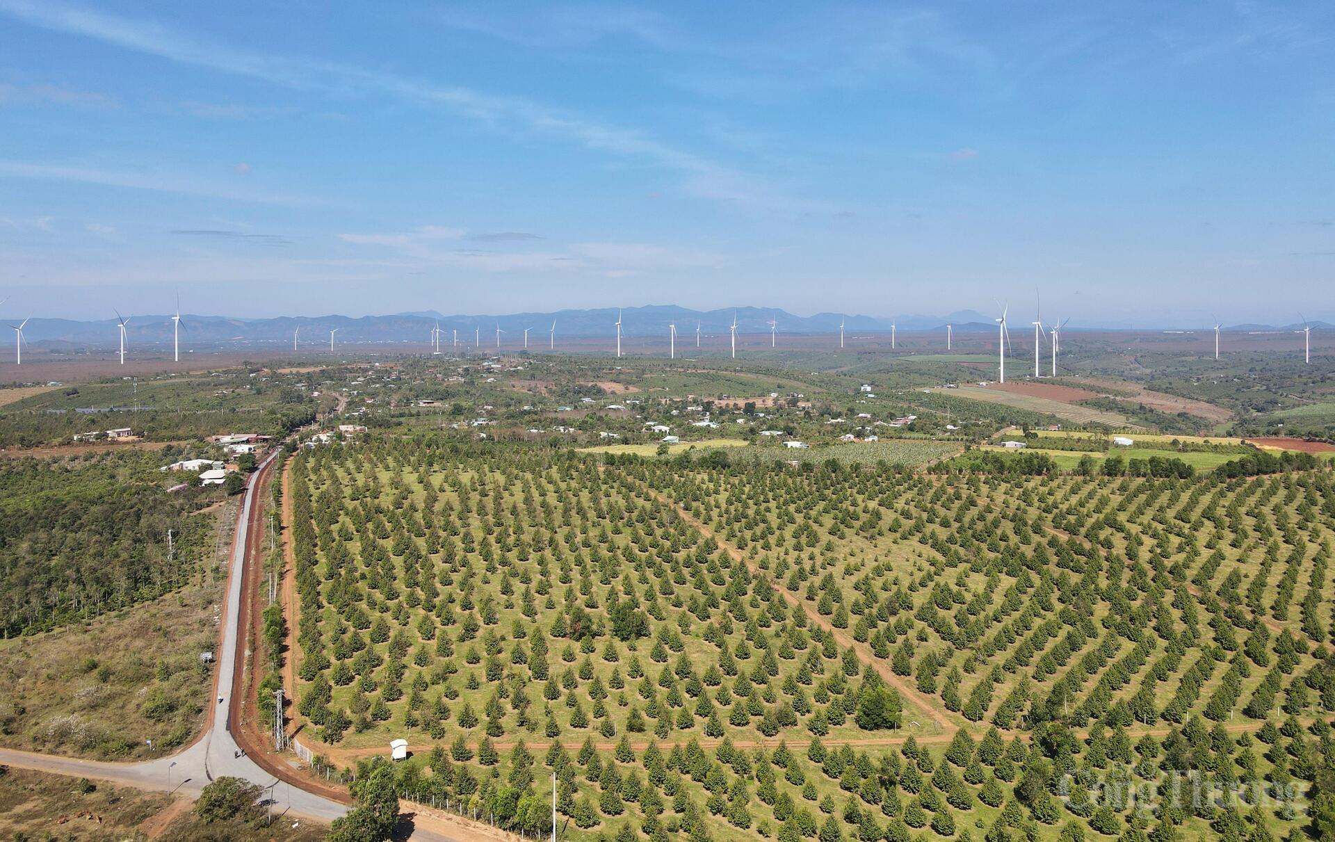 Ngành Công Thương Gia Lai 'tiếp sức' mục tiêu tăng trưởng hai con số - 3