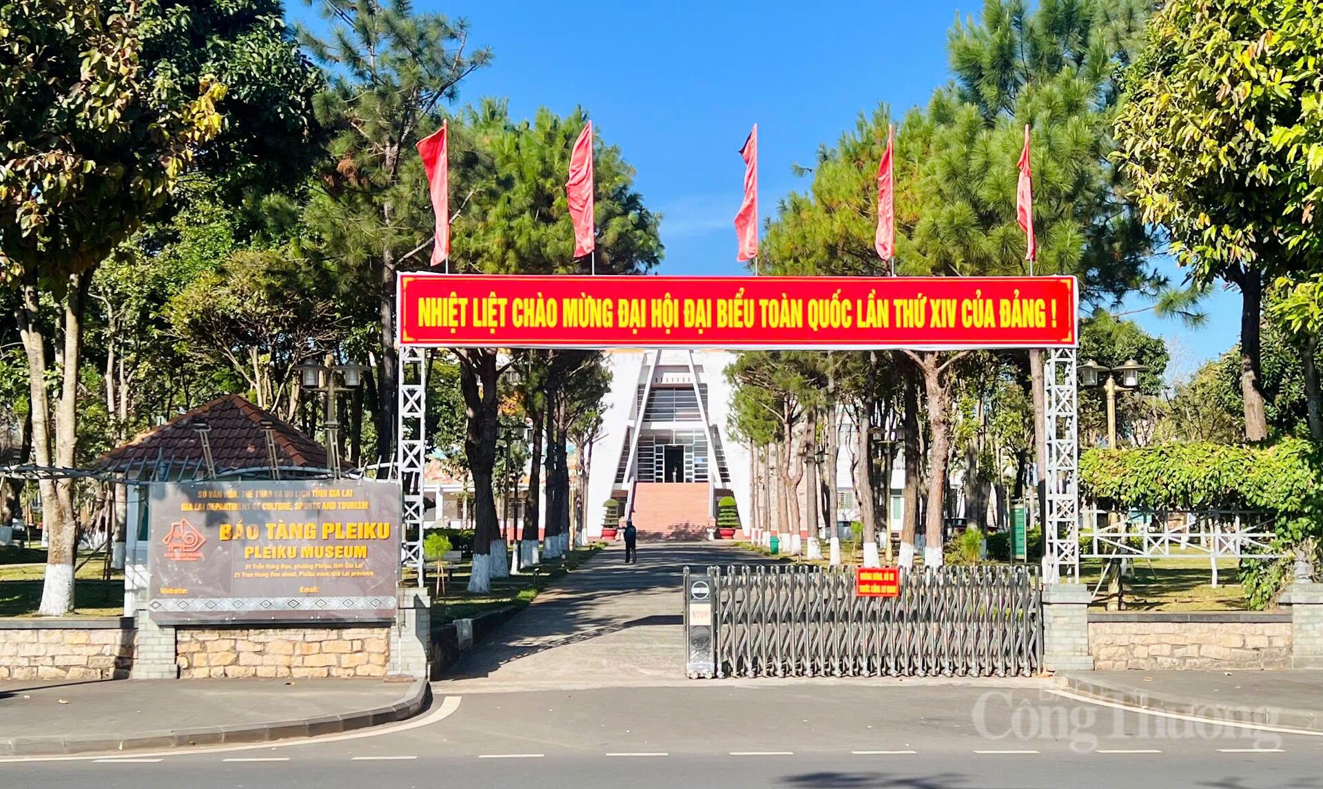 Gia Lai rực sắc cờ hoa chào mừng Đại hội lần thứ XIV của Đảng - 12