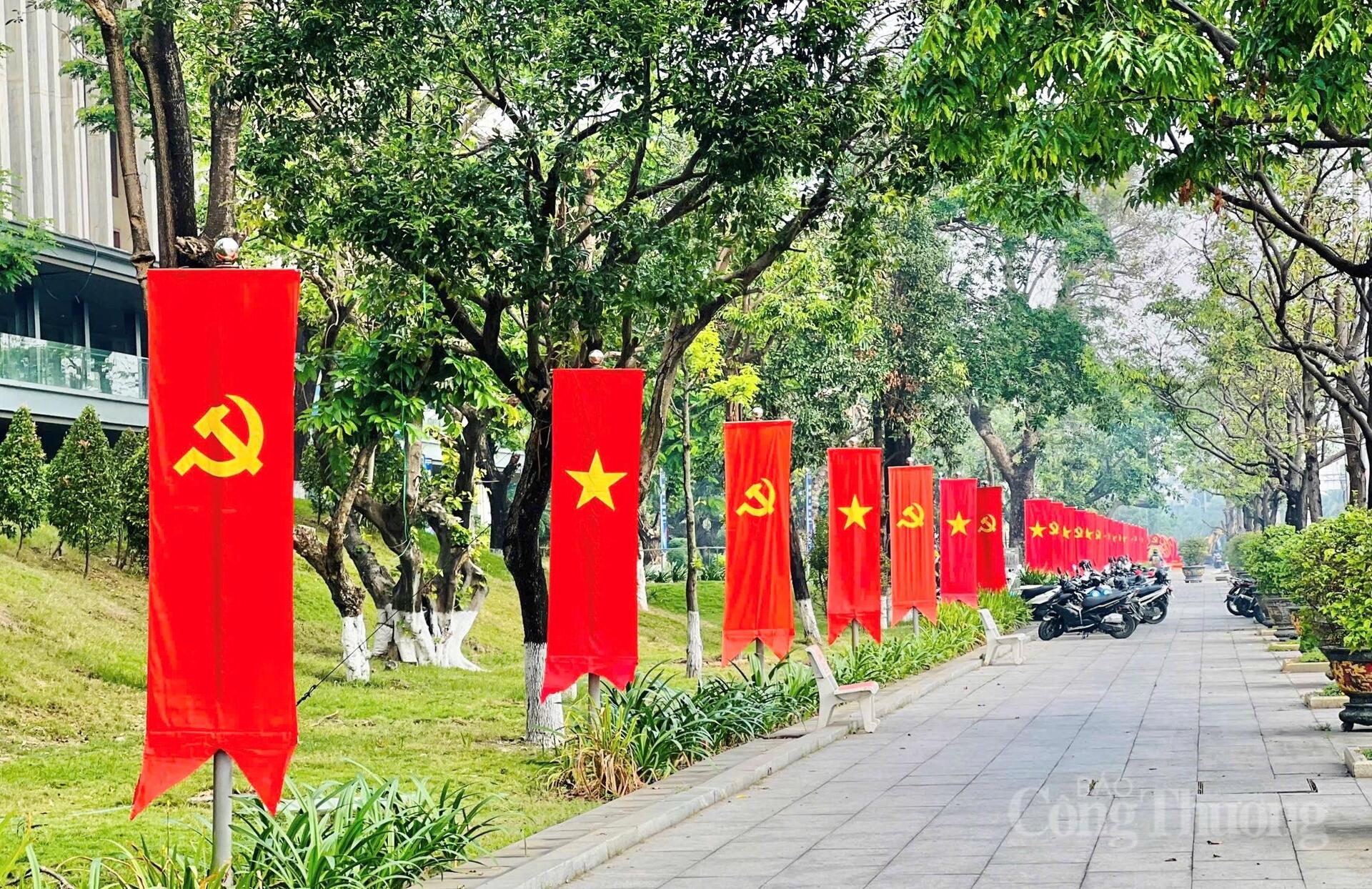 Gia Lai rực sắc cờ hoa chào mừng Đại hội lần thứ XIV của Đảng - 5