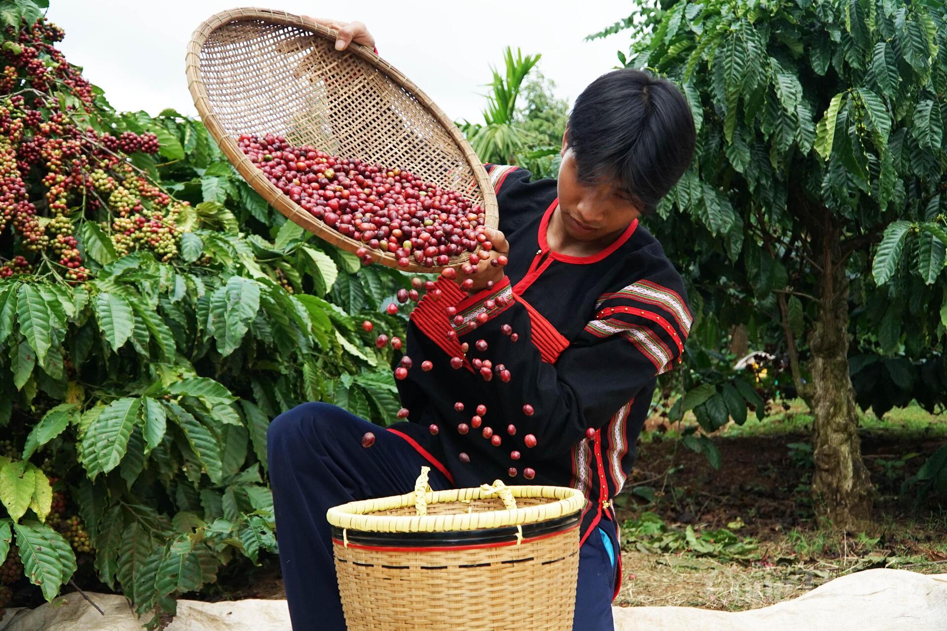 Đại hội Đảng lần thứ  XIV là 'điểm tựa lịch sử' để Việt Nam bứt phá - 2