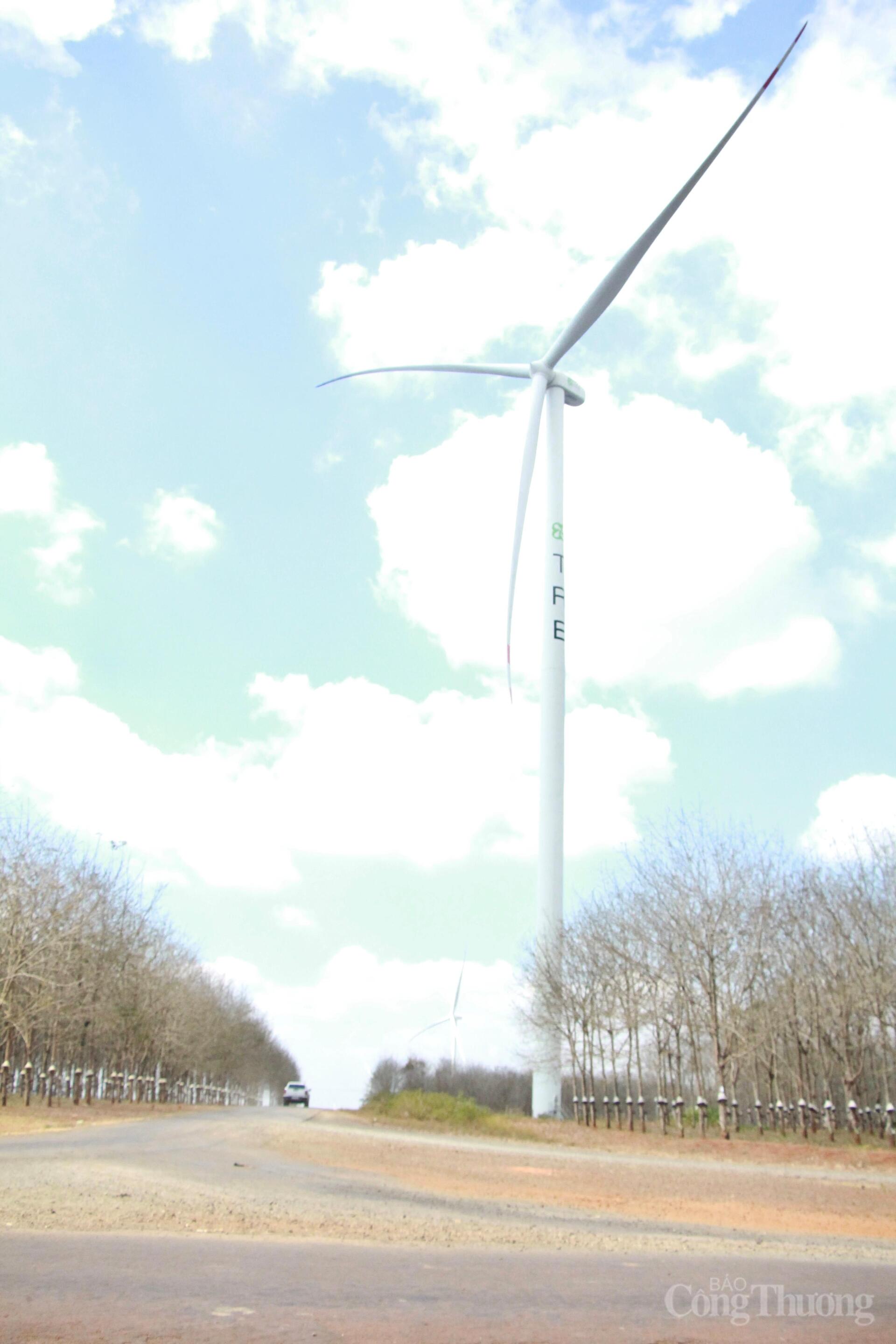 Ngắm cánh đồng điện gió đẹp mê mẩn mùa lá rụng ở Gia Lai - 9