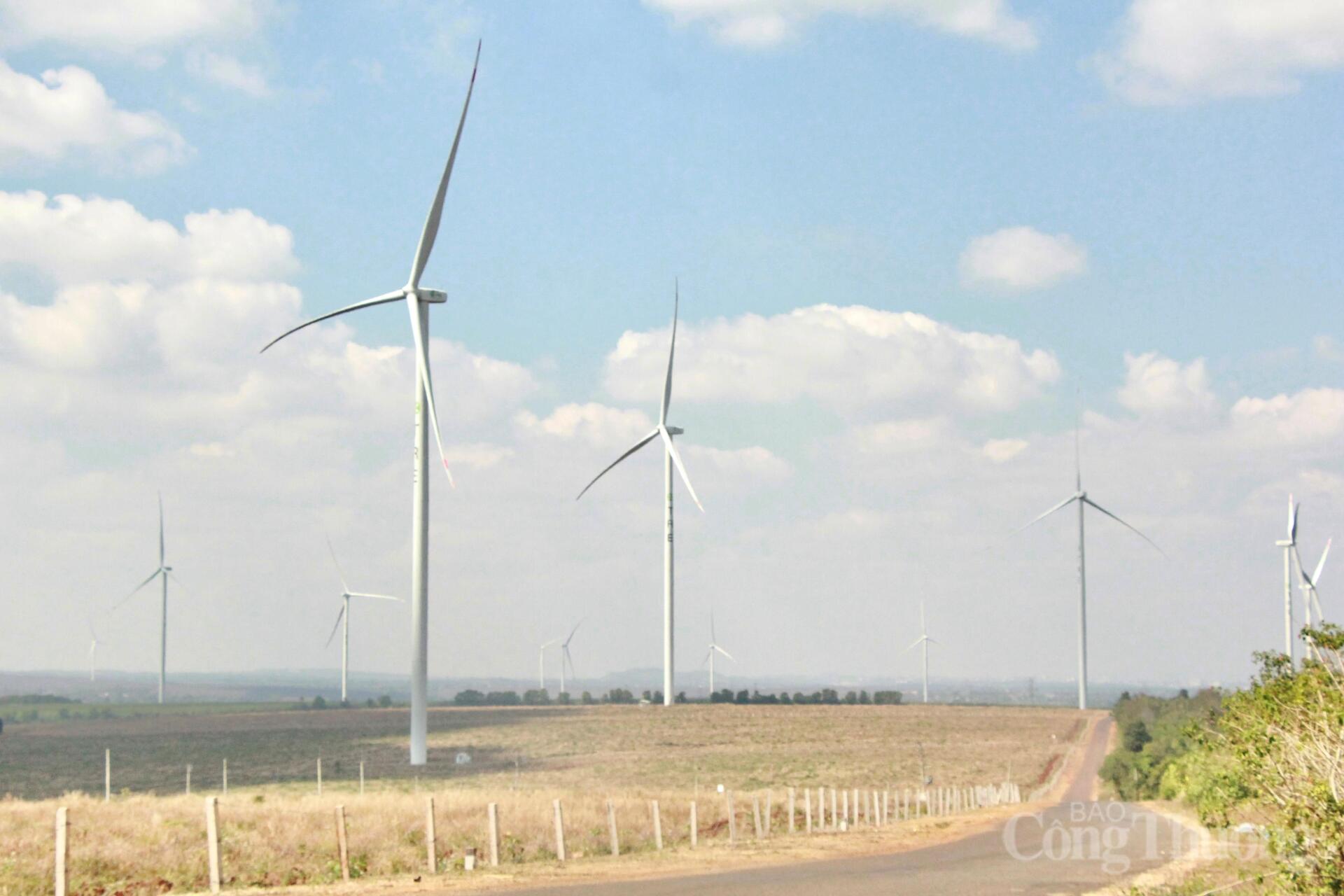 Ngắm cánh đồng điện gió đẹp mê mẩn mùa lá rụng ở Gia Lai - 1