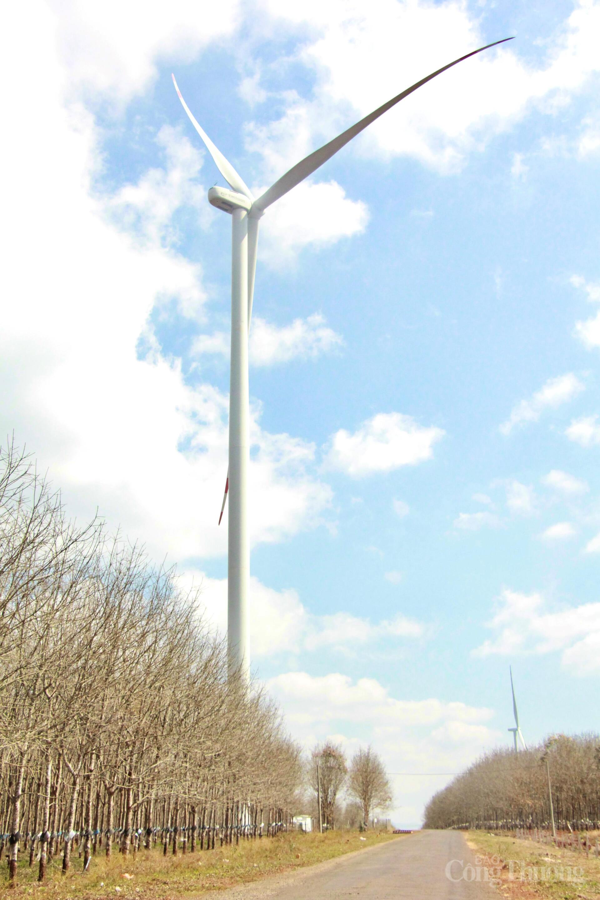 Ngắm cánh đồng điện gió đẹp mê mẩn mùa lá rụng ở Gia Lai - 11