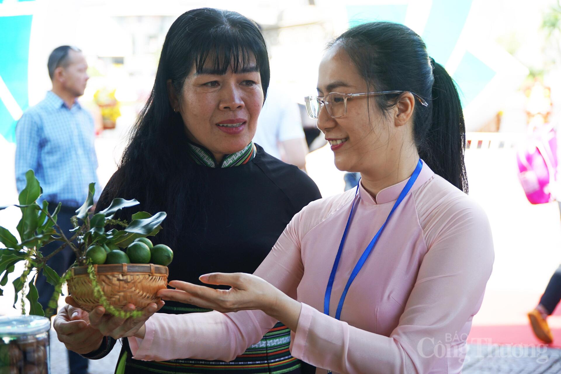 Đại hội Đảng lần thứ  XIV là 'điểm tựa lịch sử' để Việt Nam bứt phá - 7