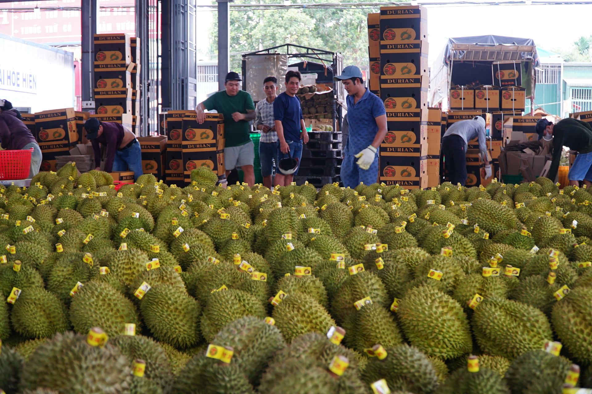 Đại hội Đảng lần thứ  XIV là 'điểm tựa lịch sử' để Việt Nam bứt phá - 8