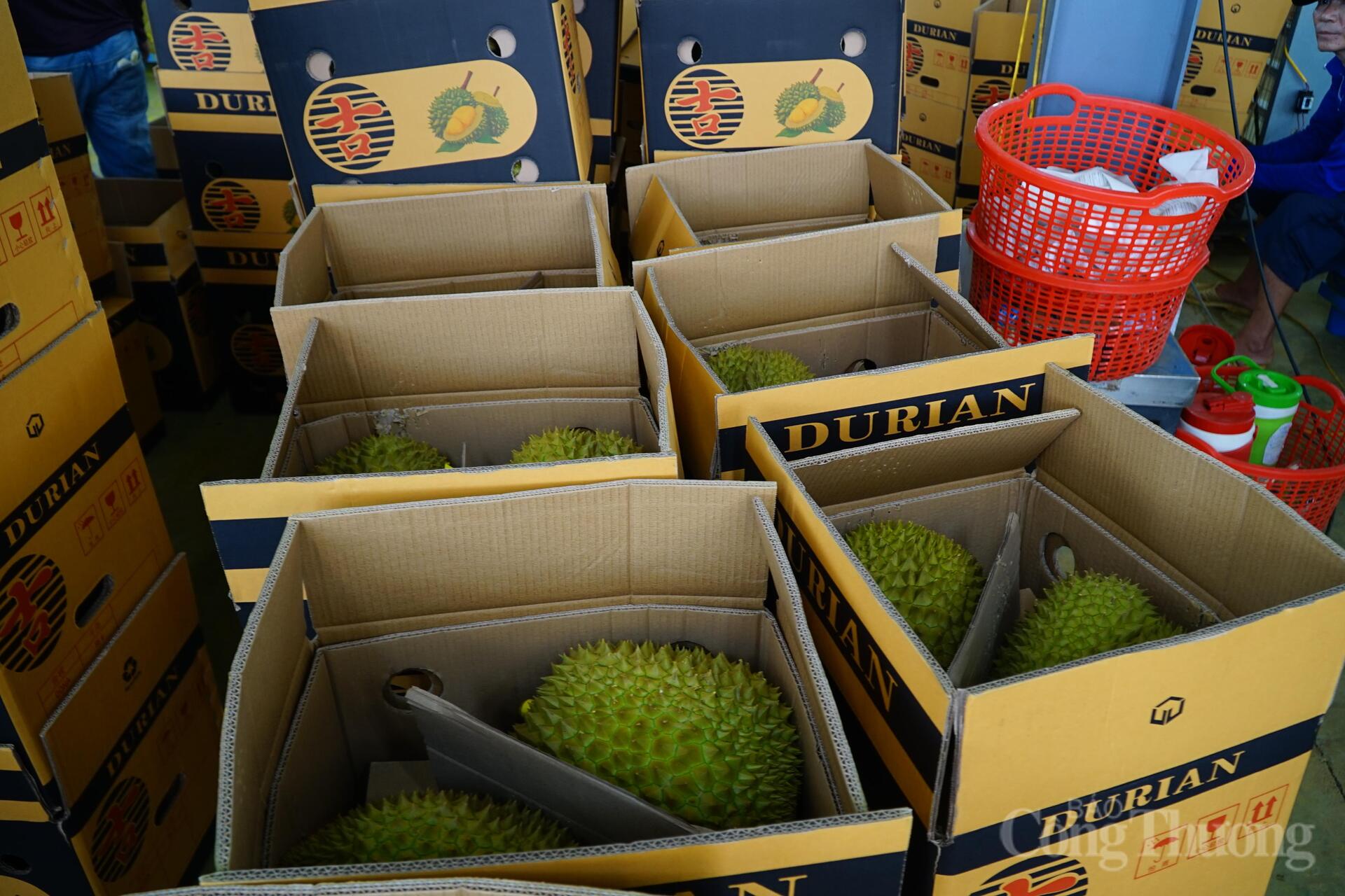 Đại hội Đảng lần thứ  XIV là 'điểm tựa lịch sử' để Việt Nam bứt phá - 9