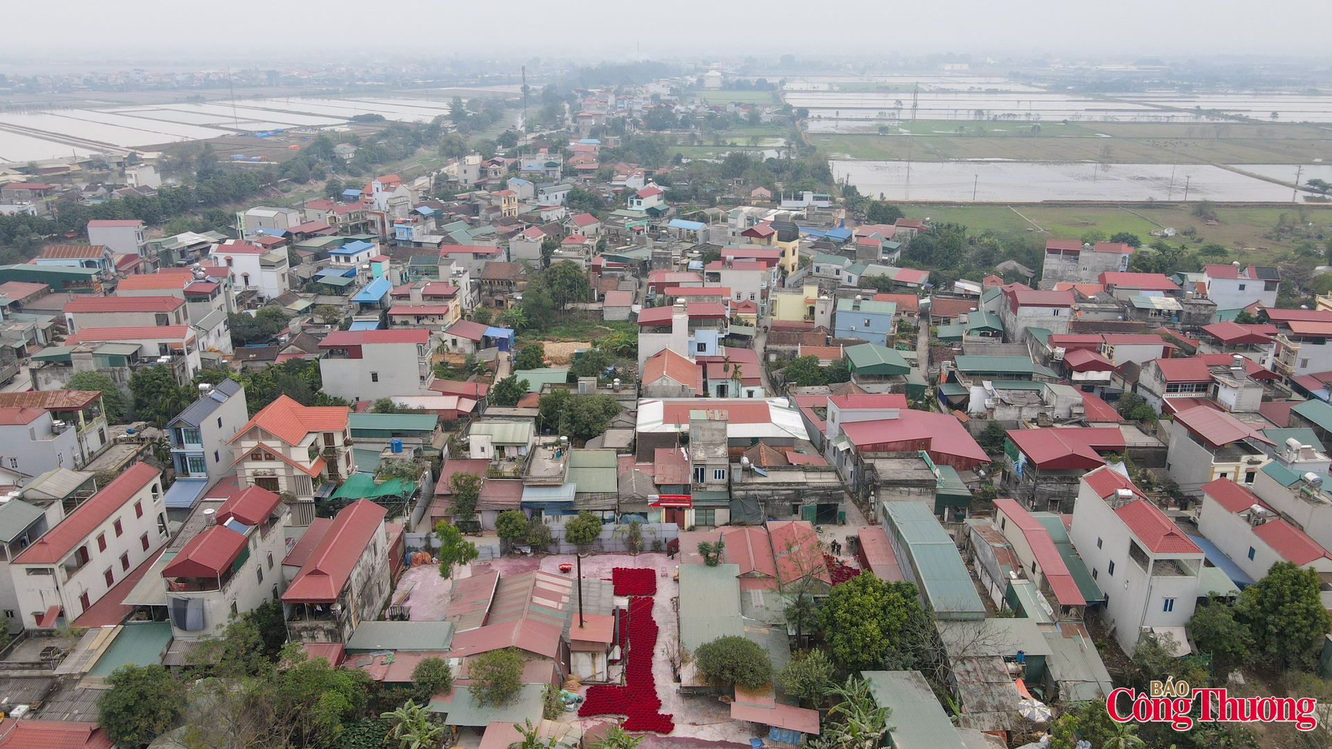 Những ngày giáp Tết Nguyên đán, làng hương Quảng Phú Cầu (nay thuộc xã Ứng Thiên, Hà Nội) lại rộn ràng vào vụ, những đóa tăm hương lại "bung nở" rực rỡ, thu hút nhiều người dân và khách du lịch tới tham quan, chụp ảnh cũng như mua hương cho các ngày lễ cuối năm.