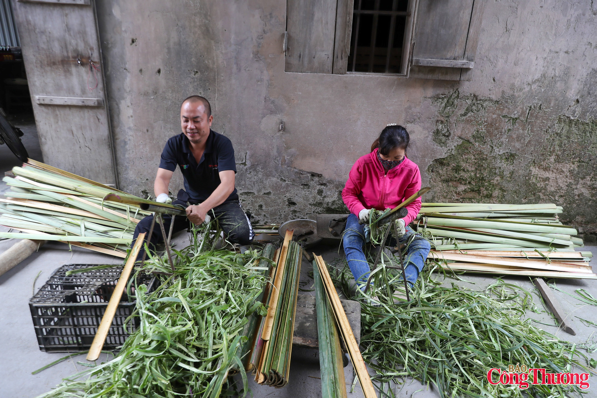 Theo người dân địa phương, vầu để làm hương thường được nhập về từ vùng rừng núi Thanh Hóa.