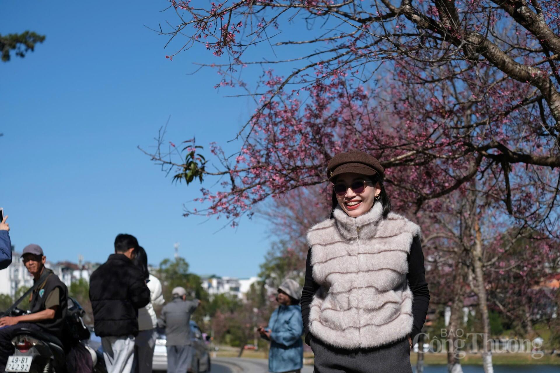 Dưới tán mai anh đào, nhịp sống dường như chậm lại, nhẹ nhàng và thư thái hơn. Ảnh: Lê Sơn