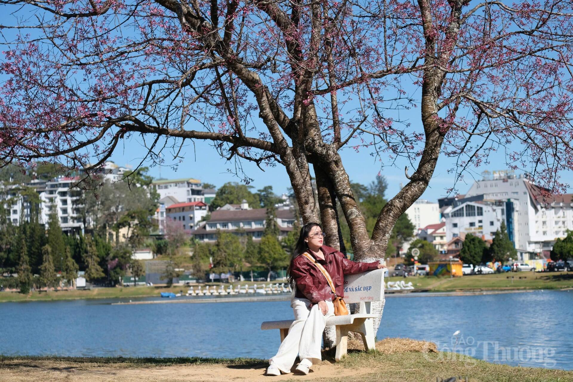 Du khách tranh thủ ghi lại khoảnh khắc đẹp bên những tán hoa rực rỡ trong nắng sớm Đà Lạt. Ảnh: Lê Sơn