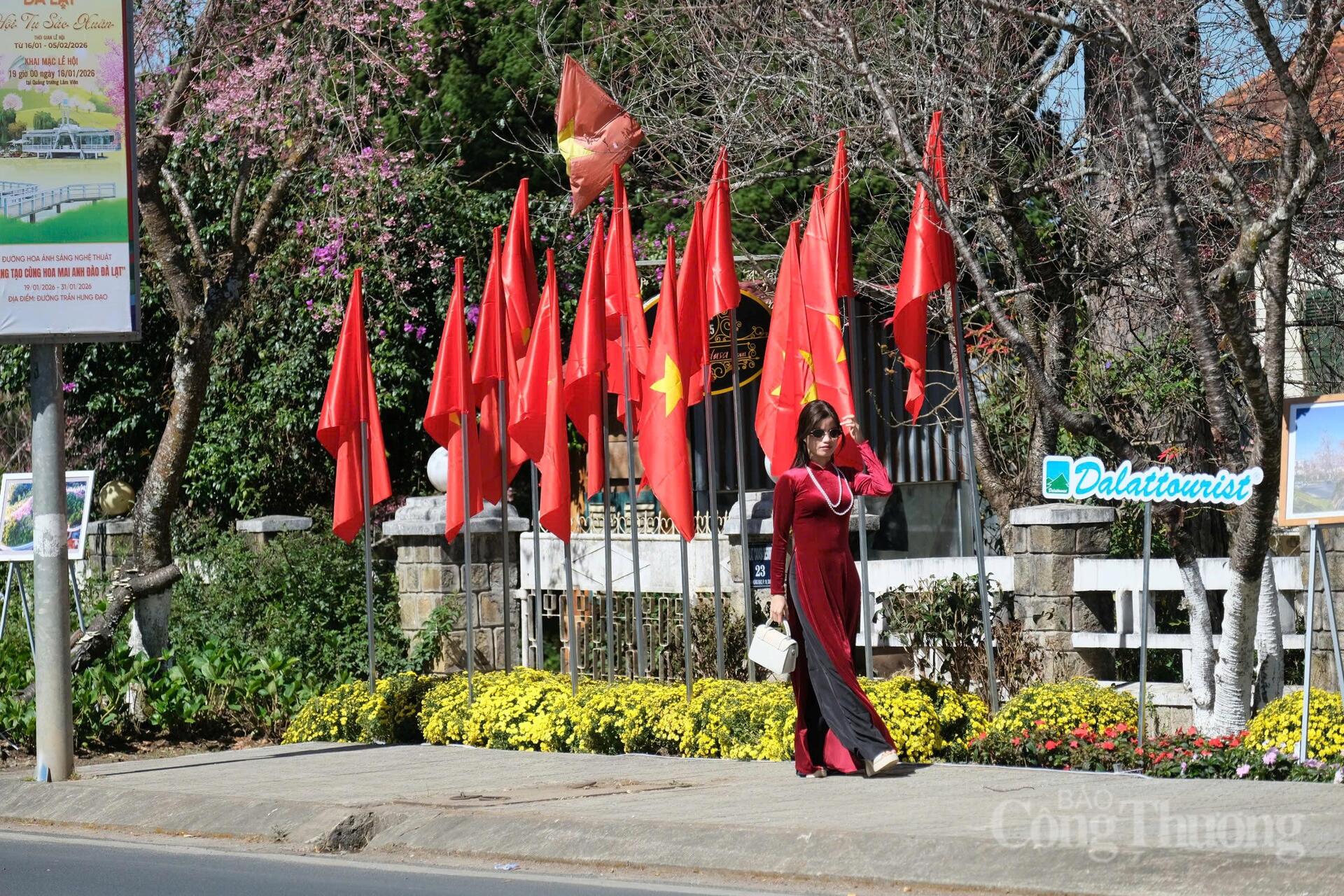 Du khách chậm rãi dạo bước, tận hưởng vẻ đẹp dịu dàng của cao nguyên mùa xuân. Ảnh: Lê Sơn