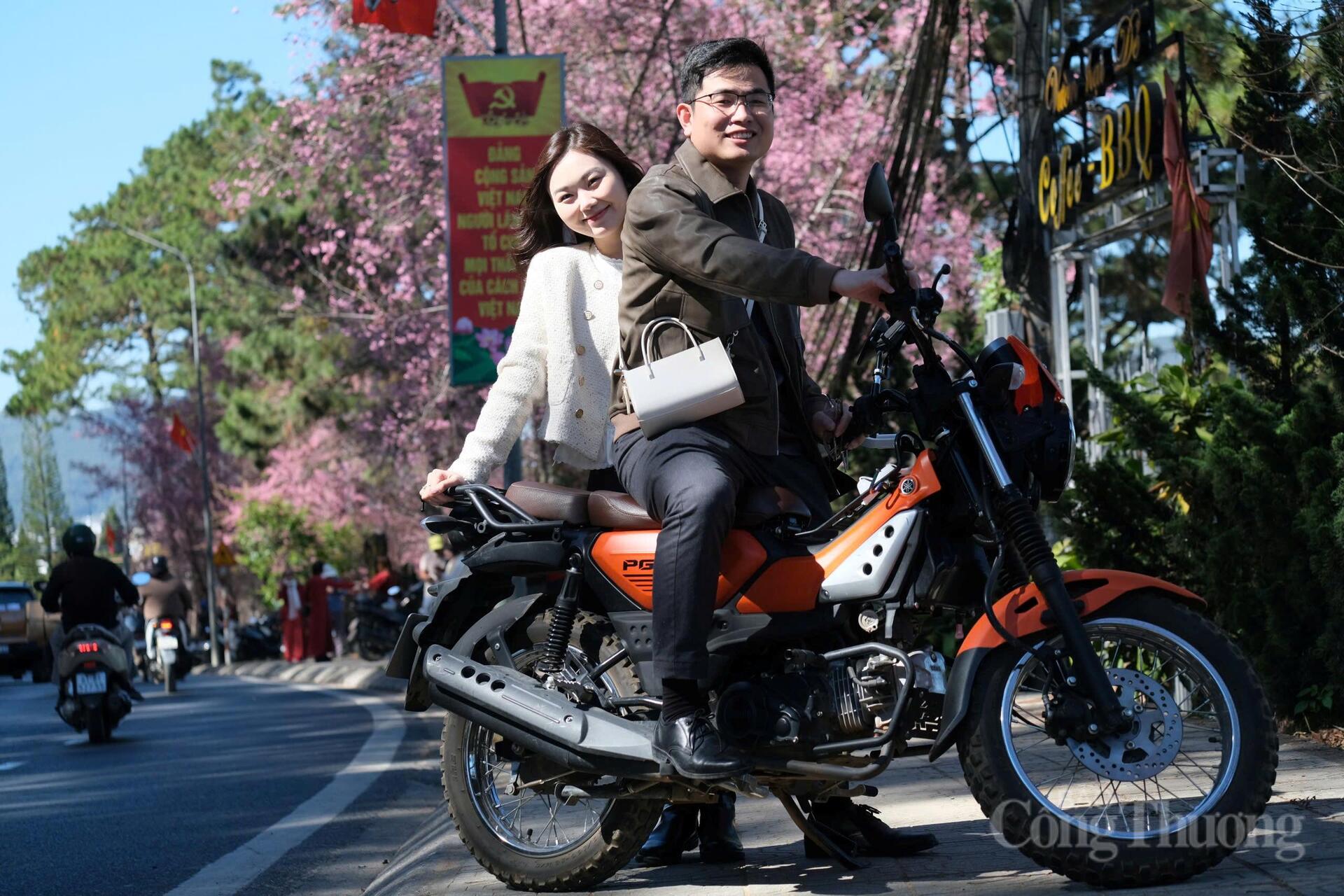 Chị Đỗ Linh Chi và chồng, du khách đến từ Thanh Hóa chia sẻ: "Lần đầu tiên hai vợ, chồng đến Đà Lạt và rất là may mắn vì đi đúng thời điểm hoa mai anh đào đang nở rất đẹp, sau này nhất định sẽ quay trở lại nơi này". Ảnh: Lê Sơn