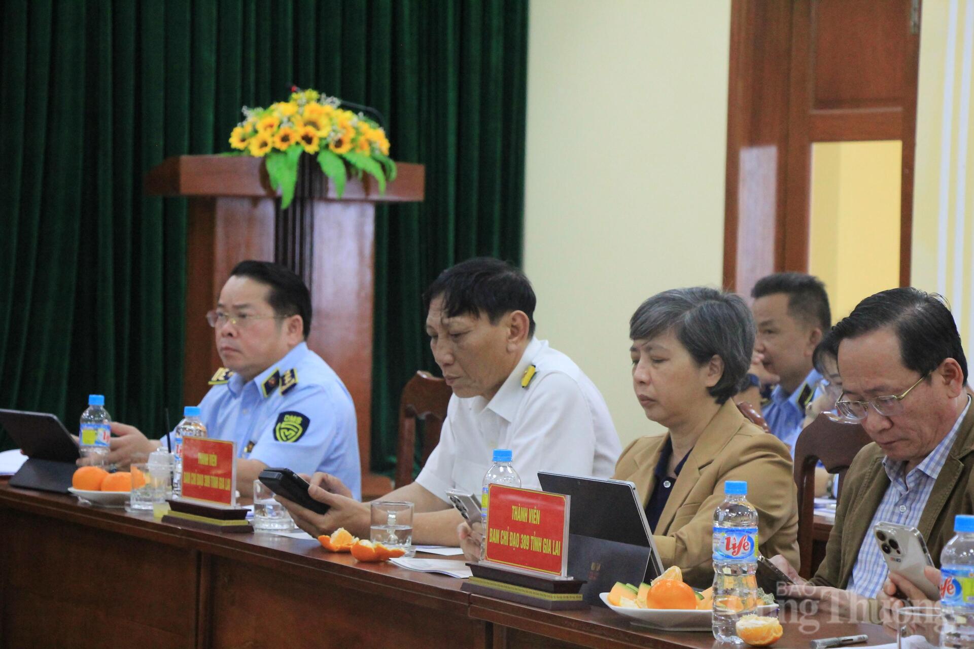 Ban Chỉ đạo 389 quốc gia làm việc với Ban Chỉ đạo 389 tỉnh Gia Lai - 6