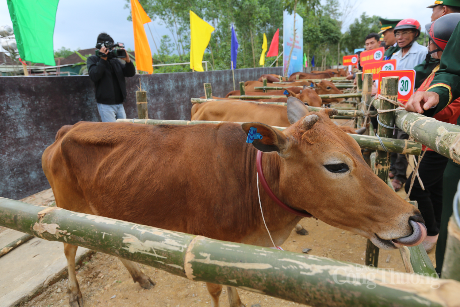 Khai mạc chương trình “Xuân Biên phòng ấm lòng dân bản" tại Hà Tĩnh - 10