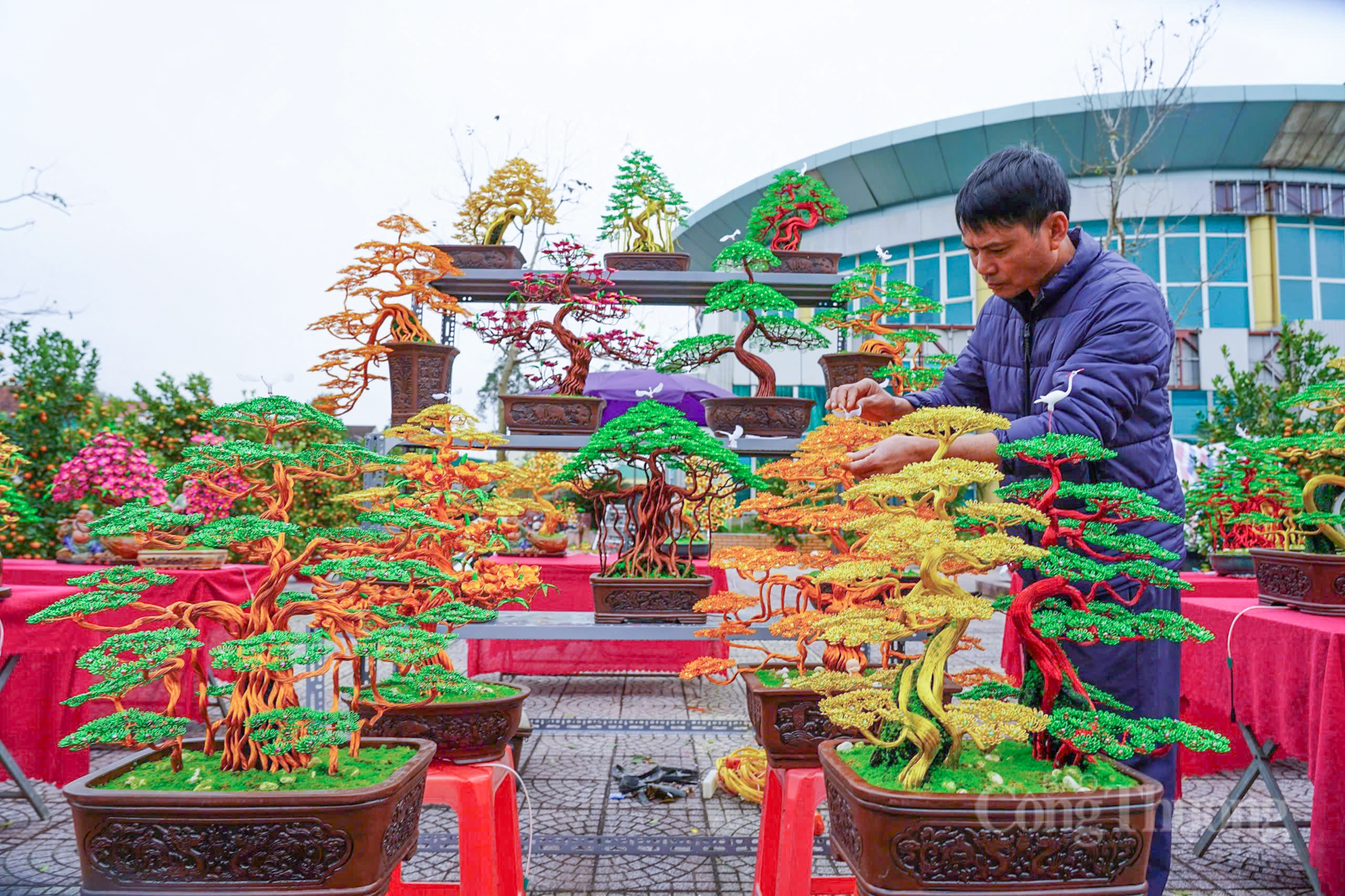 Bonsai bằng dây đồng ‘hút khách’ dịp cận Tết tại Hà Tĩnh - 5