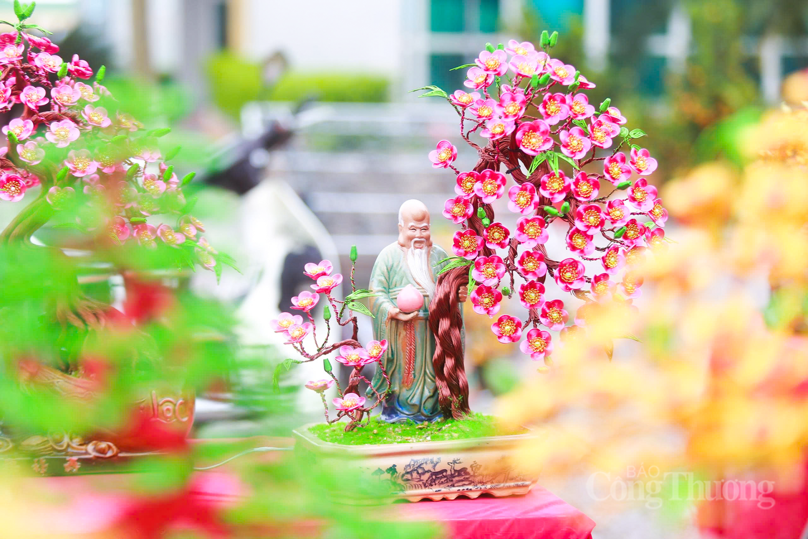 Bonsai bằng dây đồng ‘hút khách’ dịp cận Tết tại Hà Tĩnh - 9