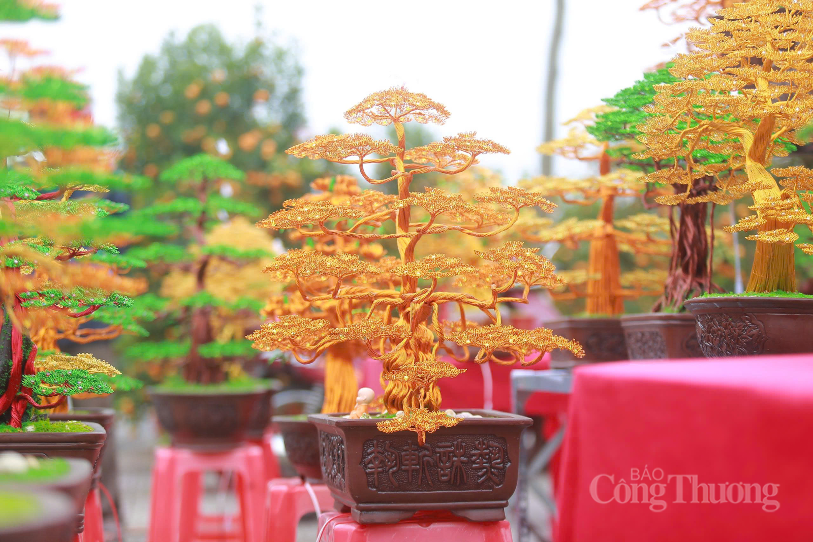 Bonsai bằng dây đồng ‘hút khách’ dịp cận Tết tại Hà Tĩnh - 3