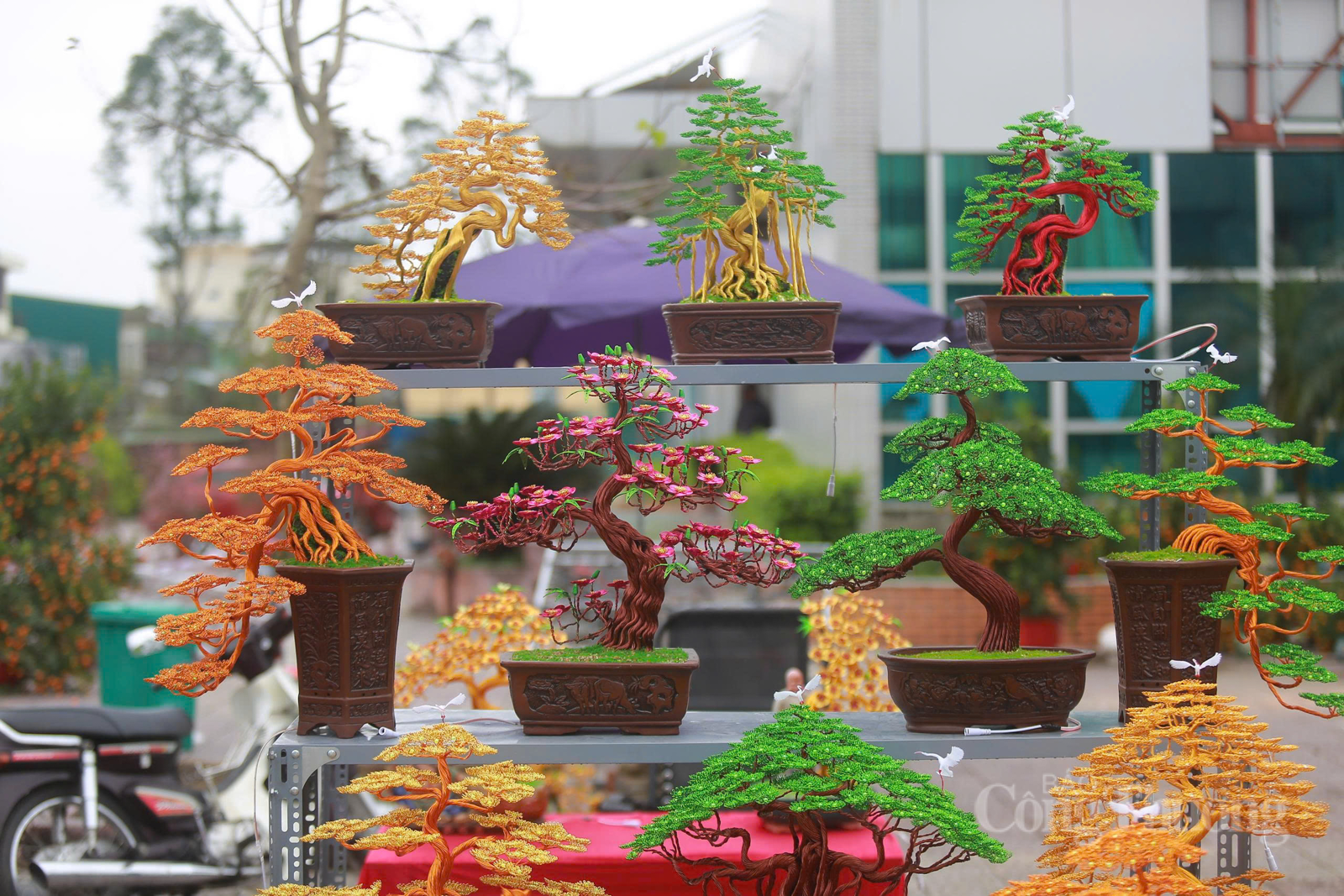 Bonsai bằng dây đồng ‘hút khách’ dịp cận Tết tại Hà Tĩnh - 6