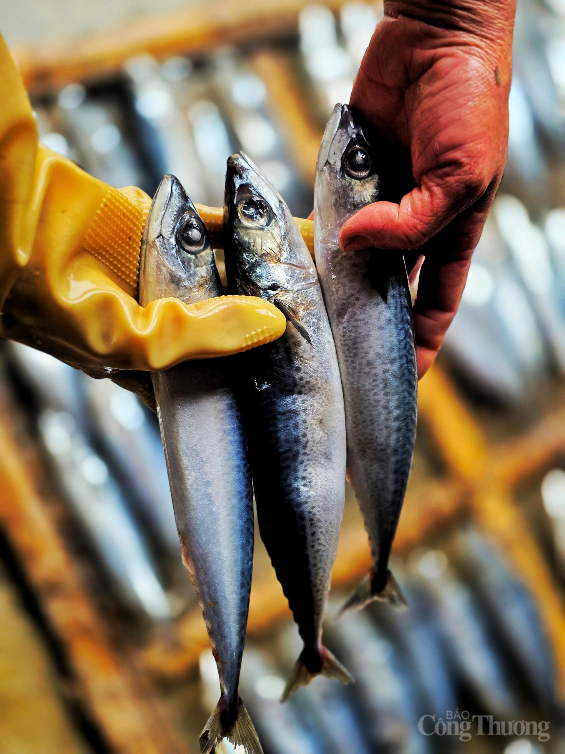 Nghề 'hun mắt' hái ra tiền ở thủ phủ cá nướng Hà Tĩnh - 8