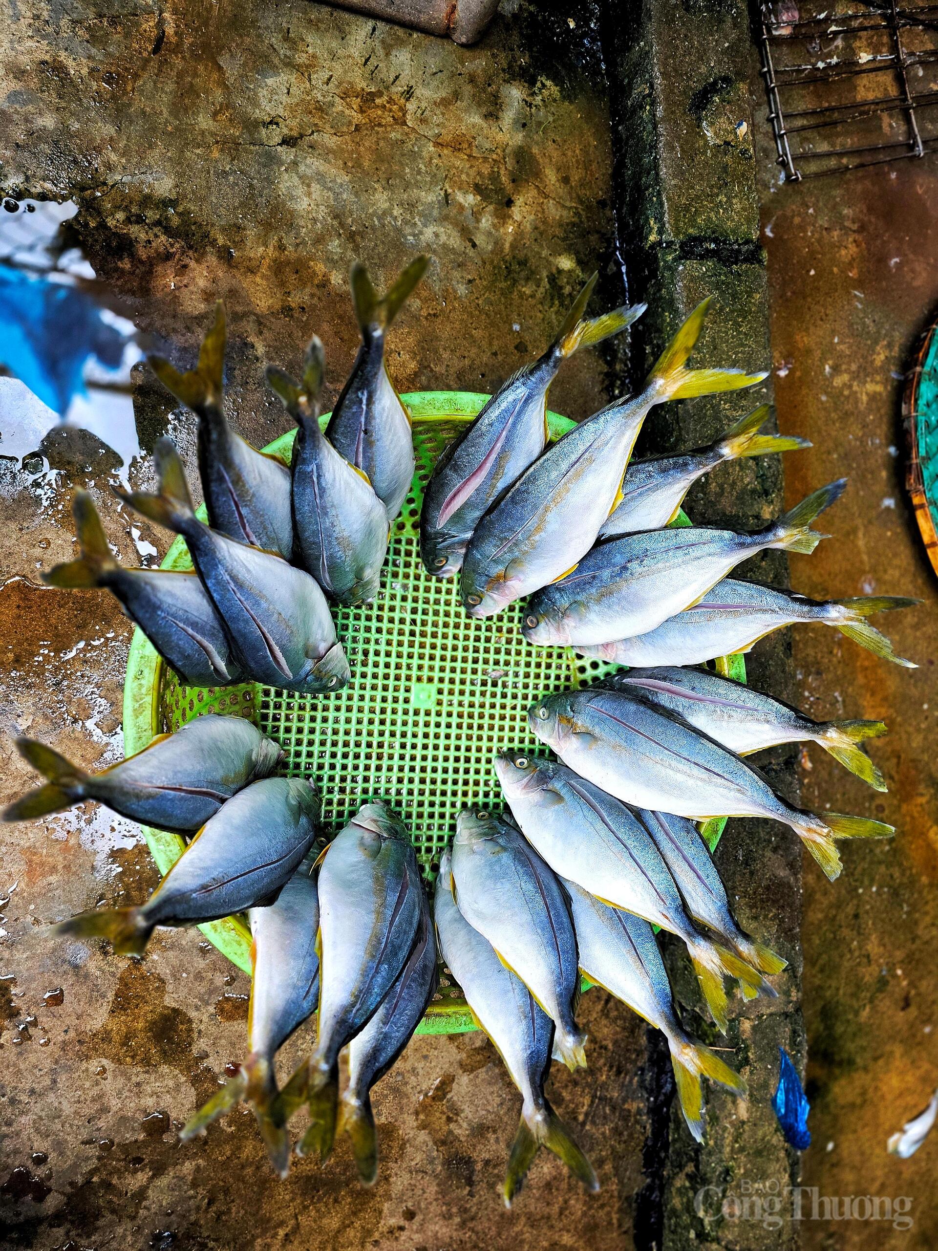 Nghề 'hun mắt' hái ra tiền ở thủ phủ cá nướng Hà Tĩnh - 9