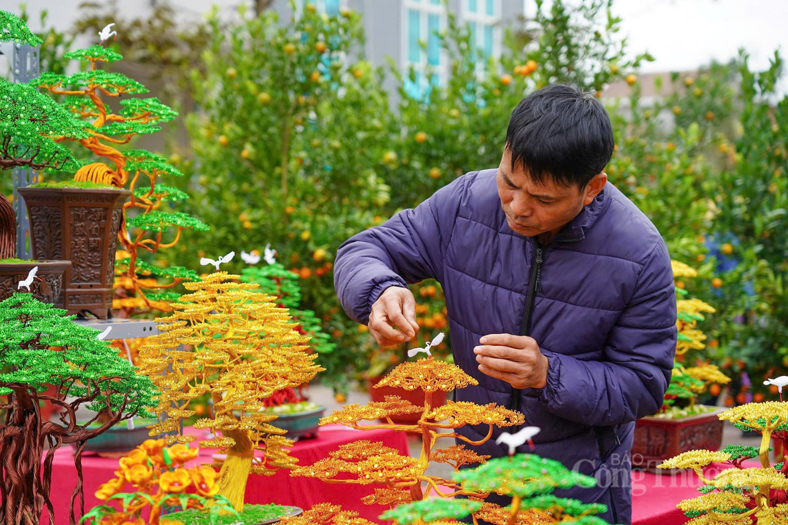 Bonsai bằng dây đồng ‘hút khách’ dịp cận Tết tại Hà Tĩnh - 4