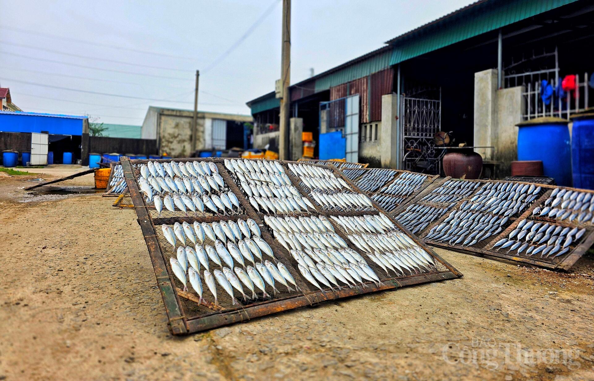 Nghề 'hun mắt' hái ra tiền ở thủ phủ cá nướng Hà Tĩnh - 2