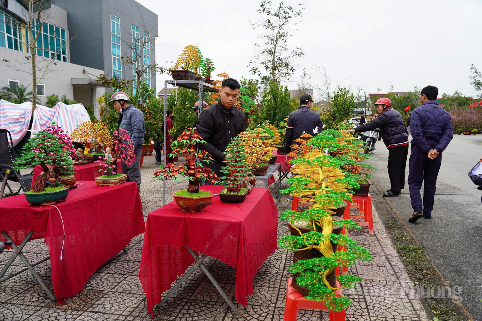 Bonsai bằng dây đồng ‘hút khách’ dịp cận Tết tại Hà Tĩnh - 8