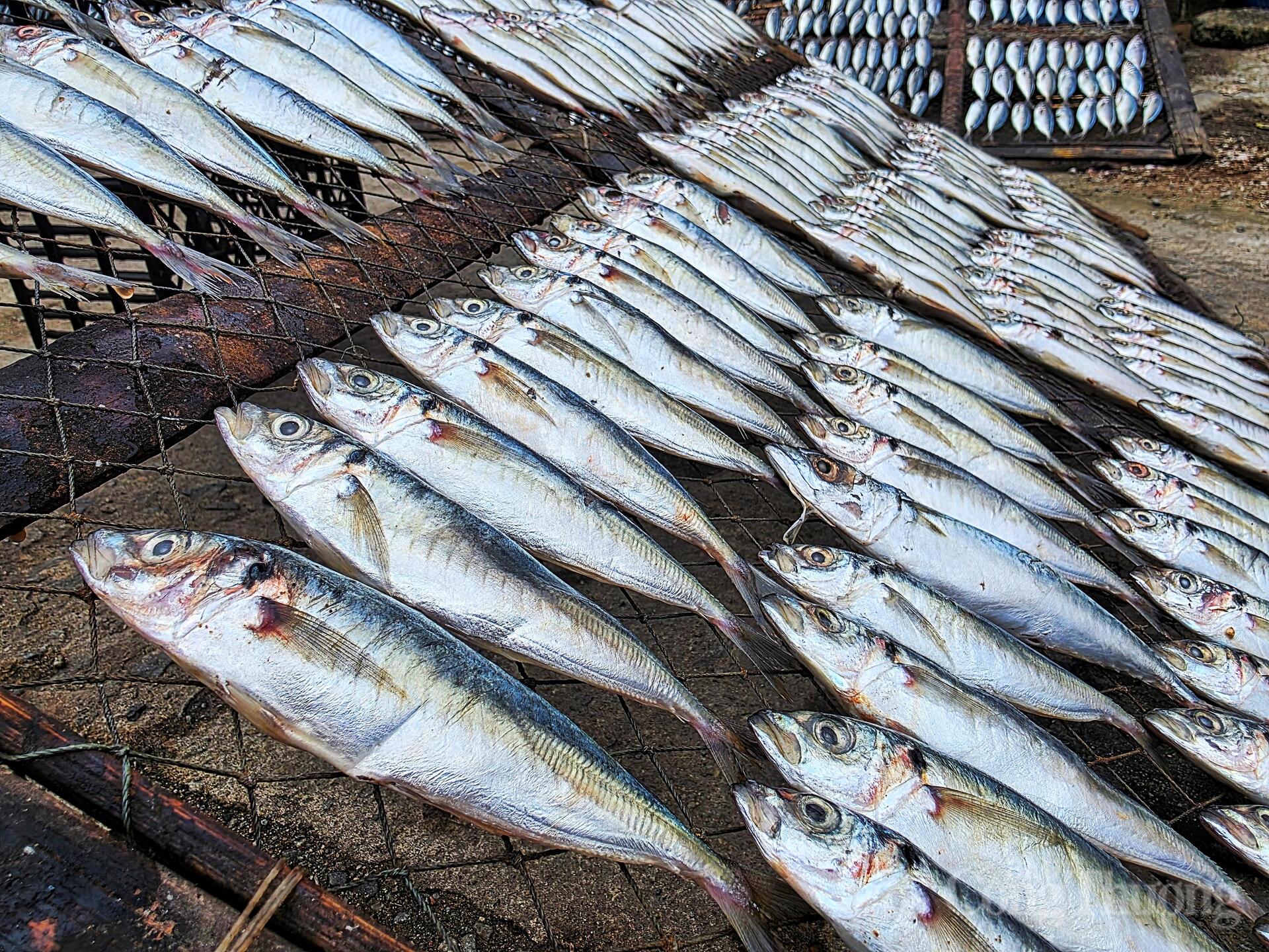 Nghề 'hun mắt' hái ra tiền ở thủ phủ cá nướng Hà Tĩnh - 10