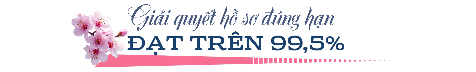 Xuân mới ở Đặc khu Côn Đảo - 2