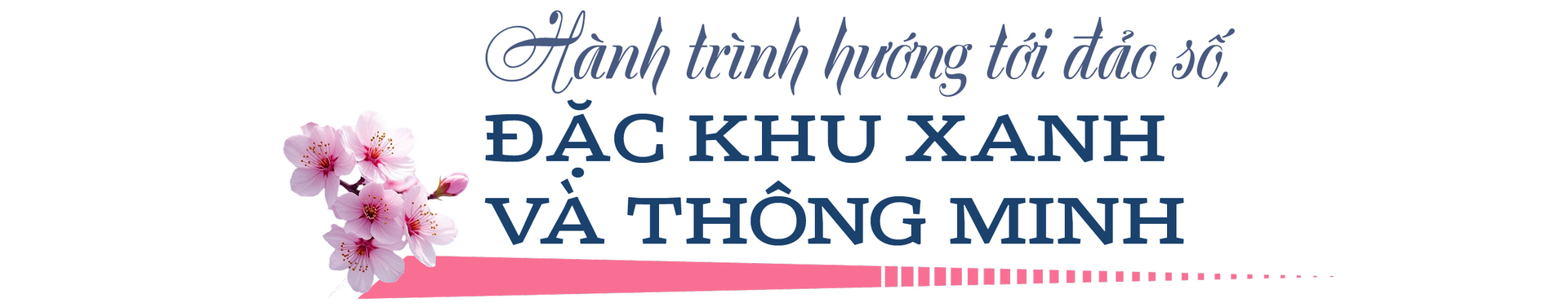 Xuân mới ở Đặc khu Côn Đảo - 11