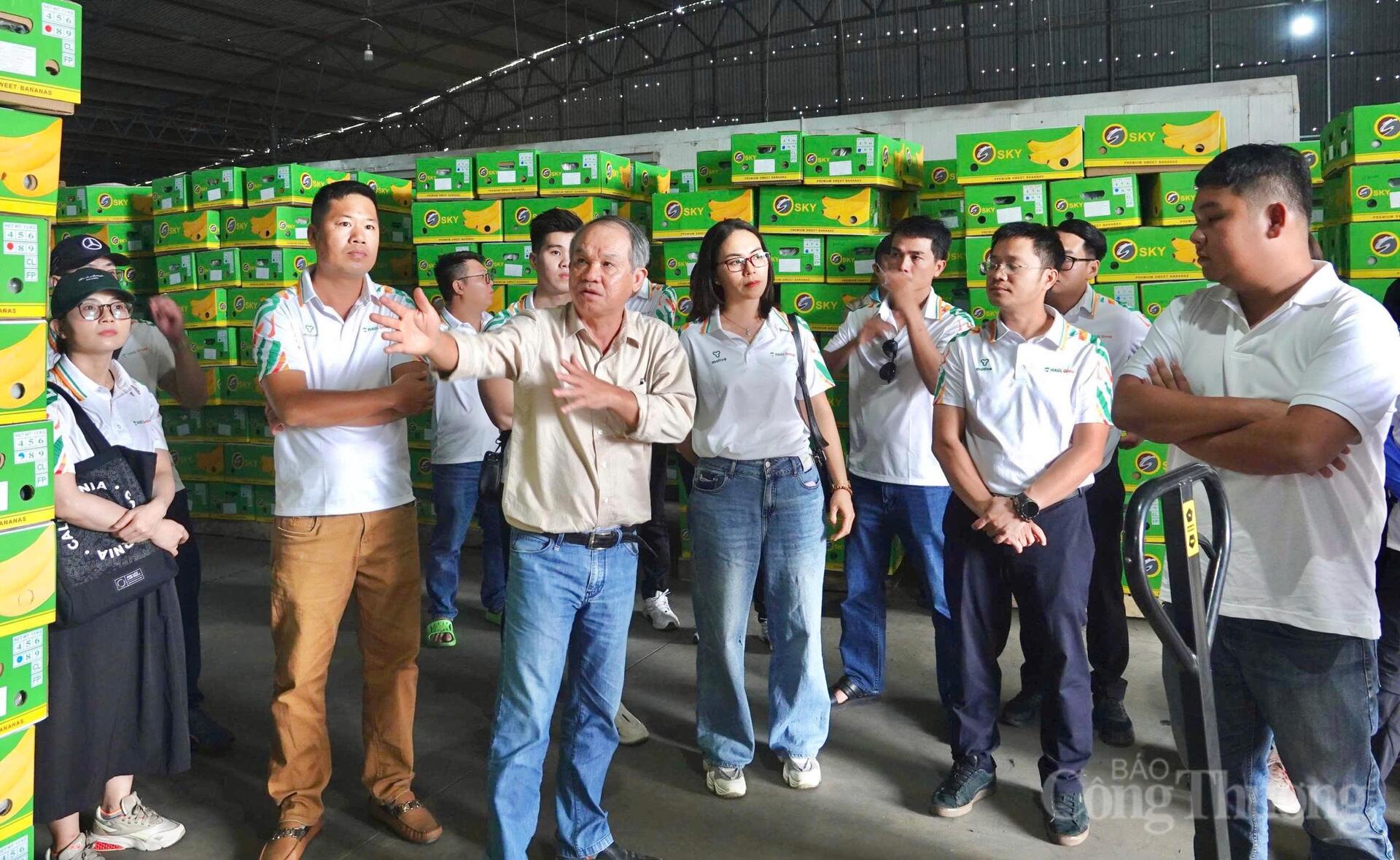 Những doanh nhân Gia Lai mở đường đưa nông sản xuất ngoại - 4