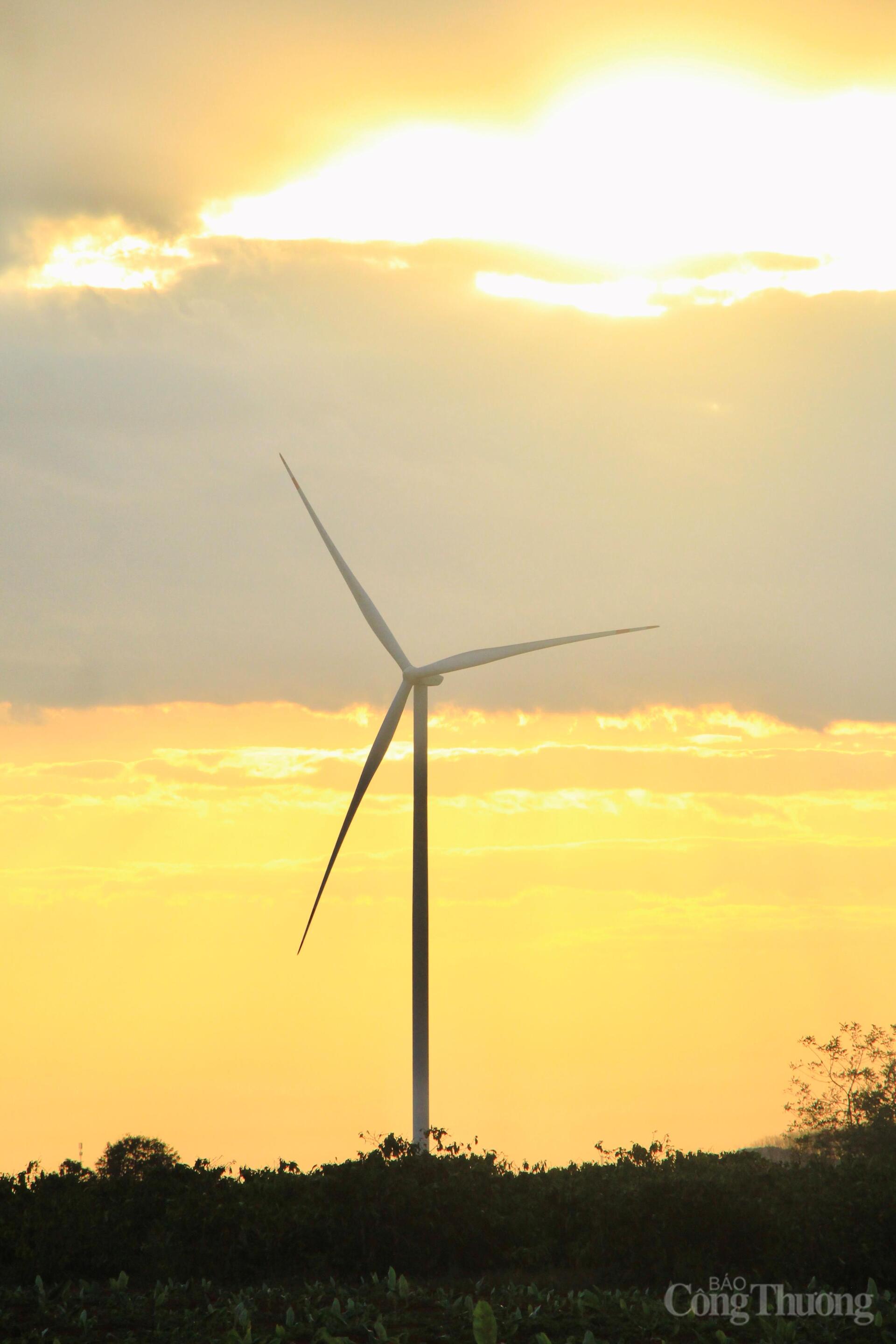 Xuân về trên những cánh đồng điện gió Gia Lai - 8