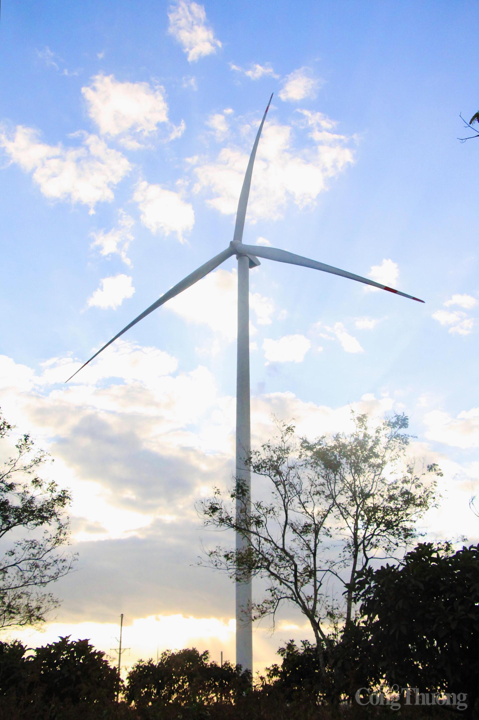 Xuân về trên những cánh đồng điện gió Gia Lai - 7