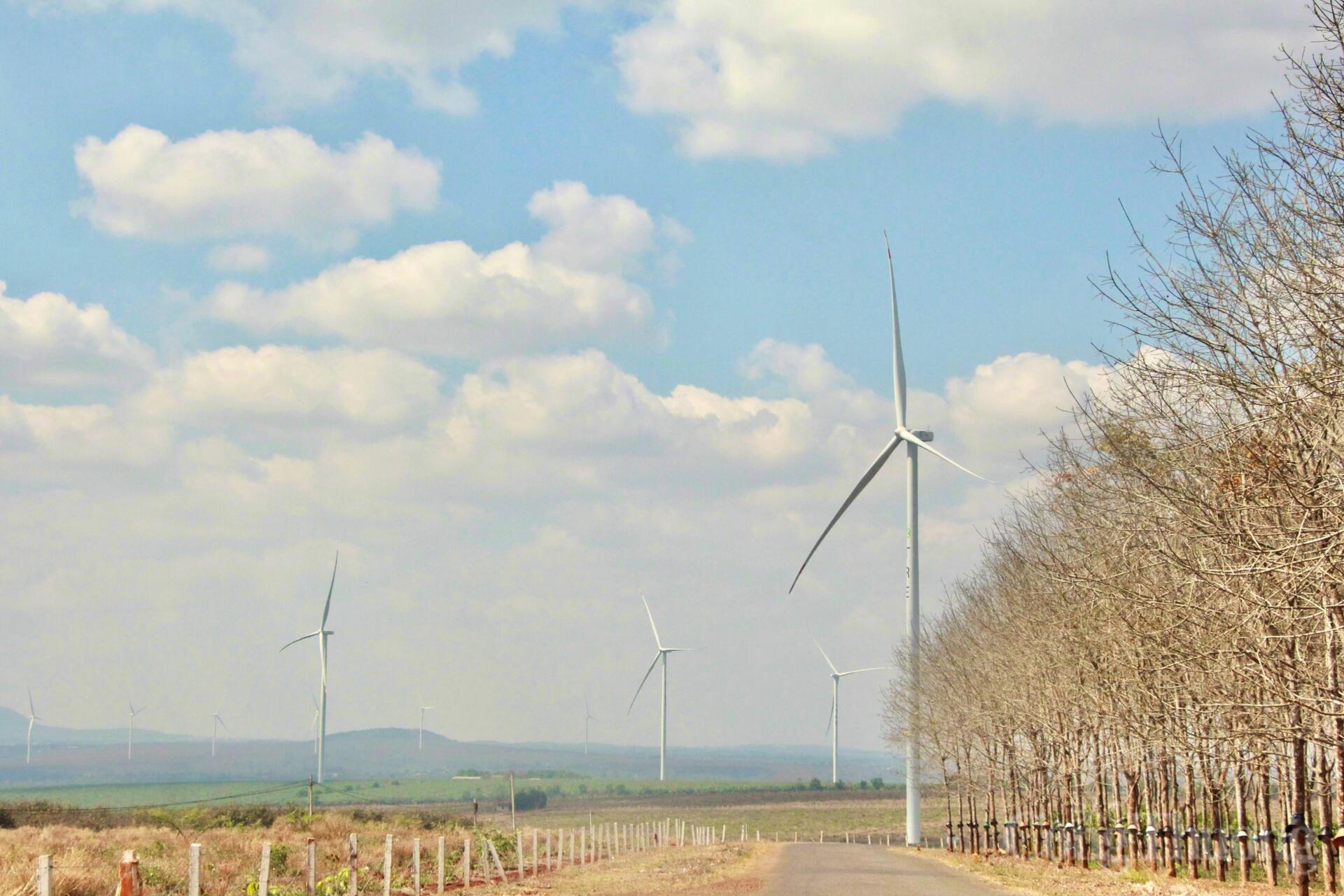 Gia Lai vươn mình thành 'thủ phủ' năng lượng sạch - 8