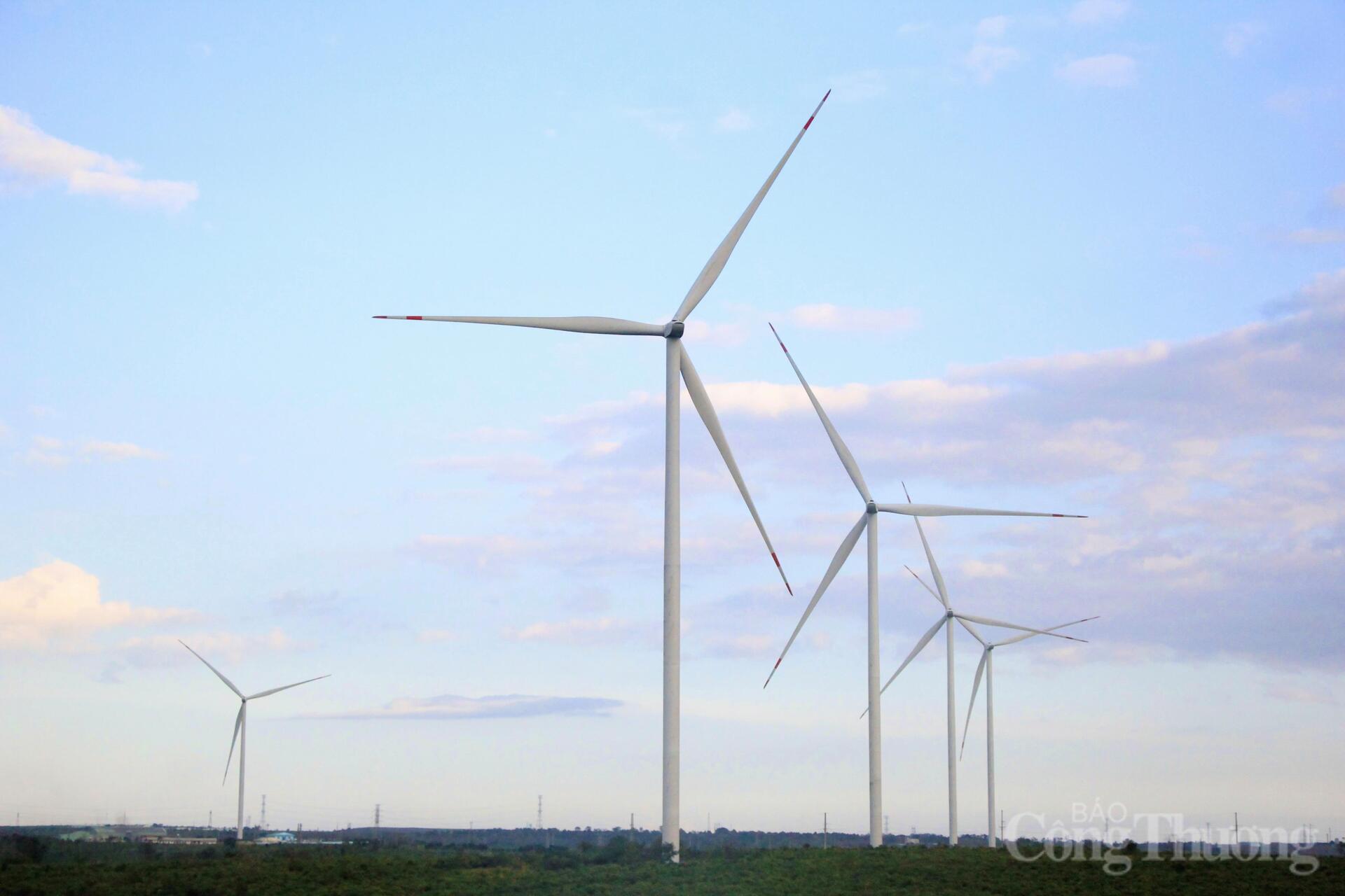 Xuân về trên những cánh đồng điện gió Gia Lai - 6