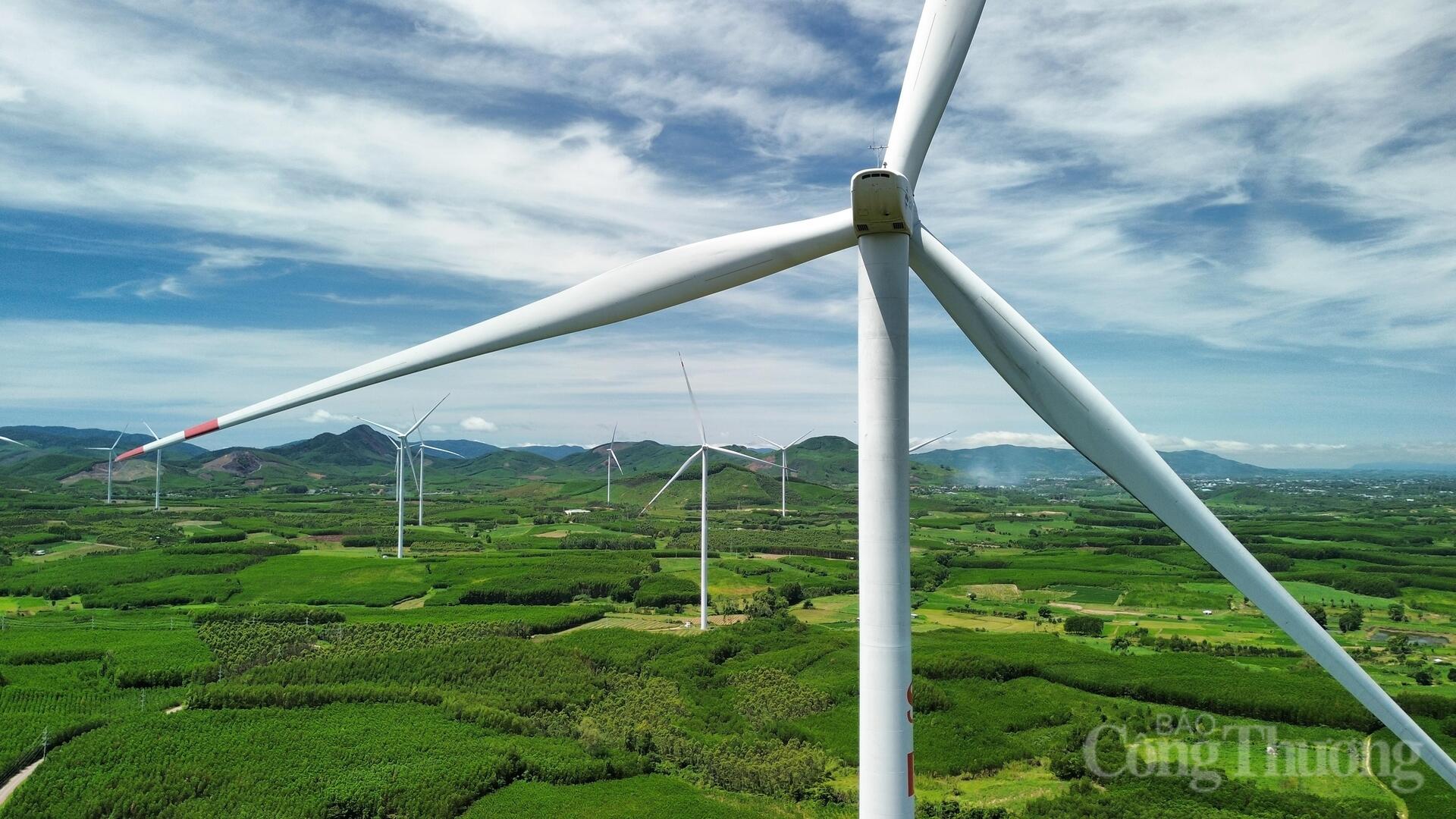 Xuân về trên những cánh đồng điện gió Gia Lai - 2