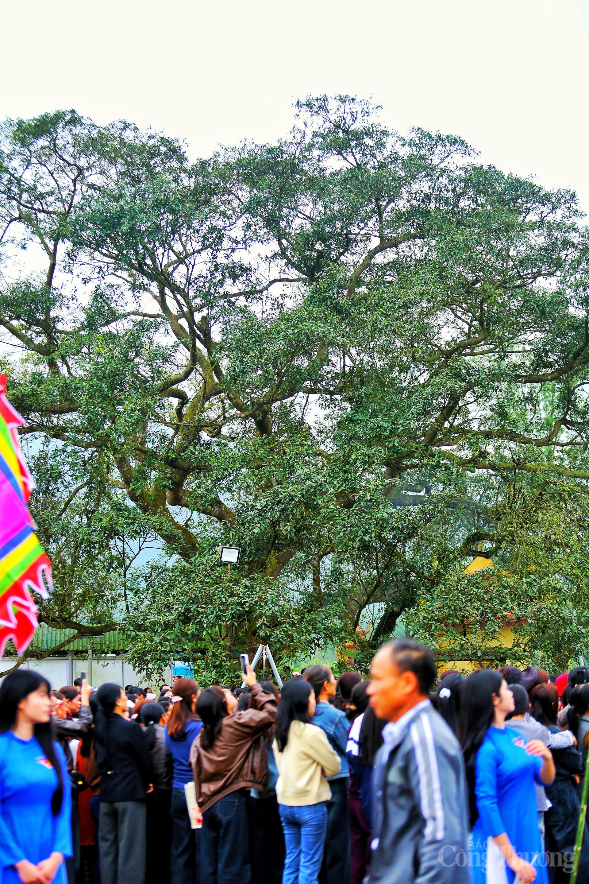 Độc đáo Lễ hội Tìm trâu và mở cửa rừng ở Hà Tĩnh - 9