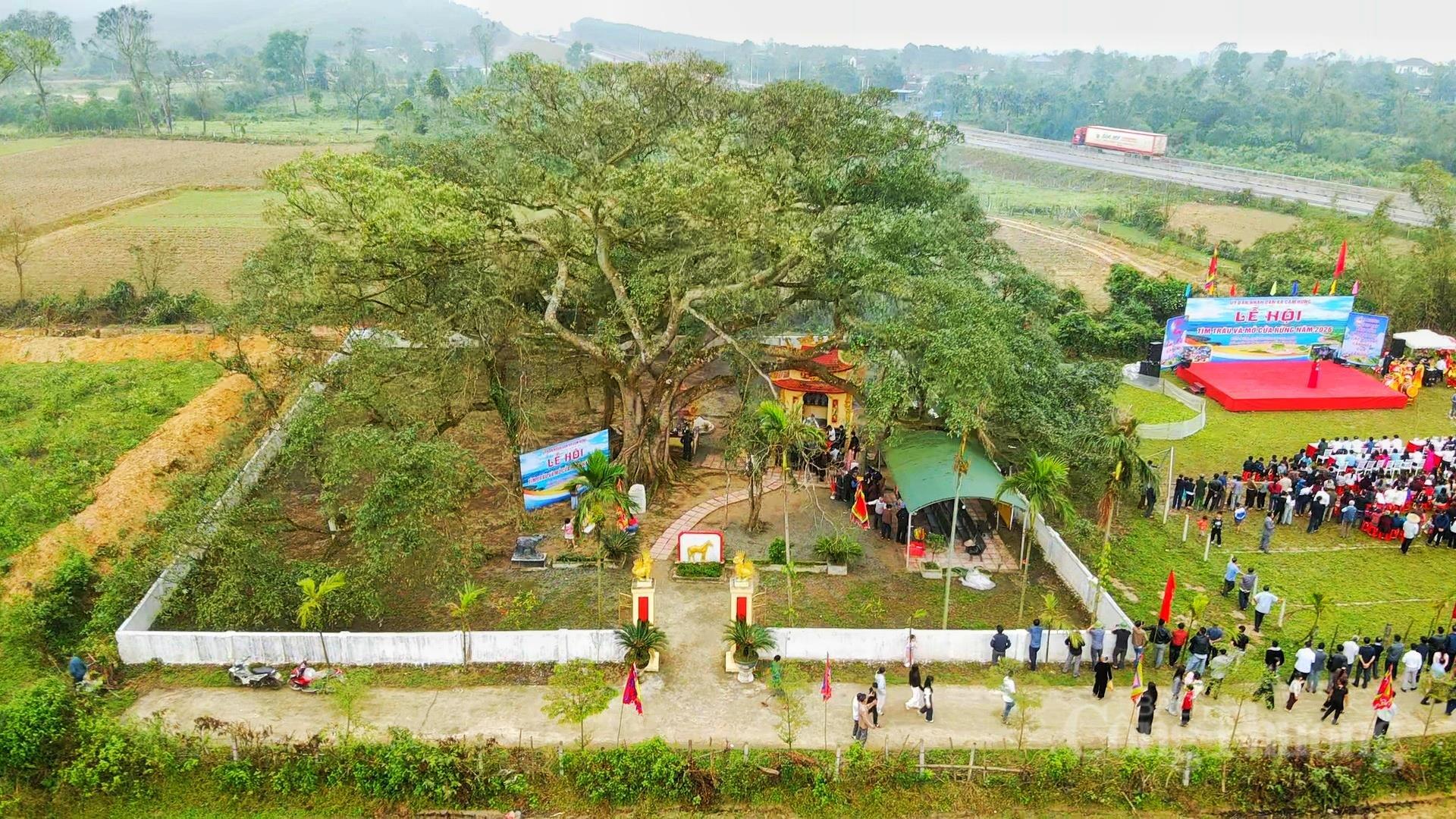 Độc đáo Lễ hội Tìm trâu và mở cửa rừng ở Hà Tĩnh - 7