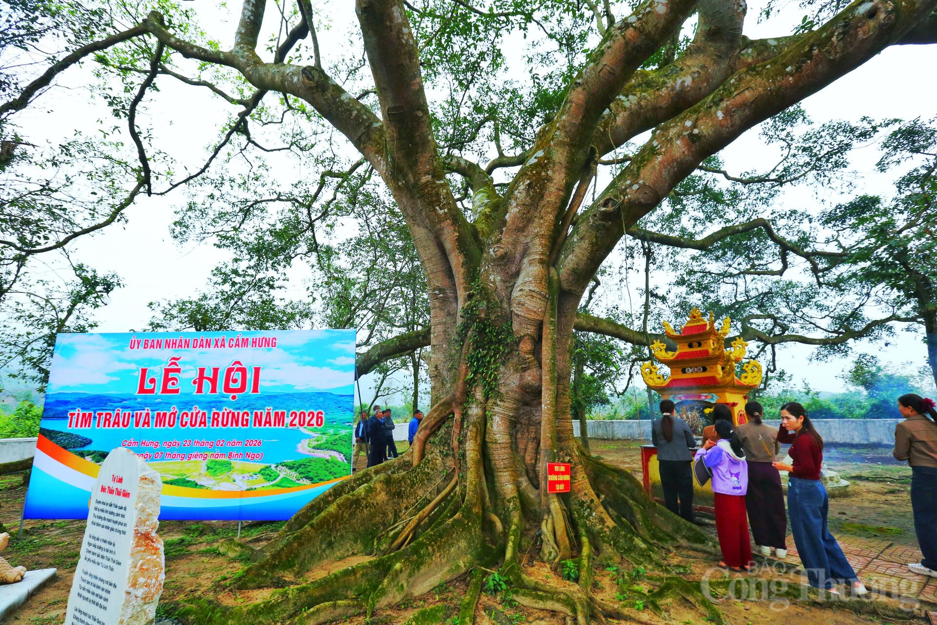 Độc đáo Lễ hội Tìm trâu và mở cửa rừng ở Hà Tĩnh - 6